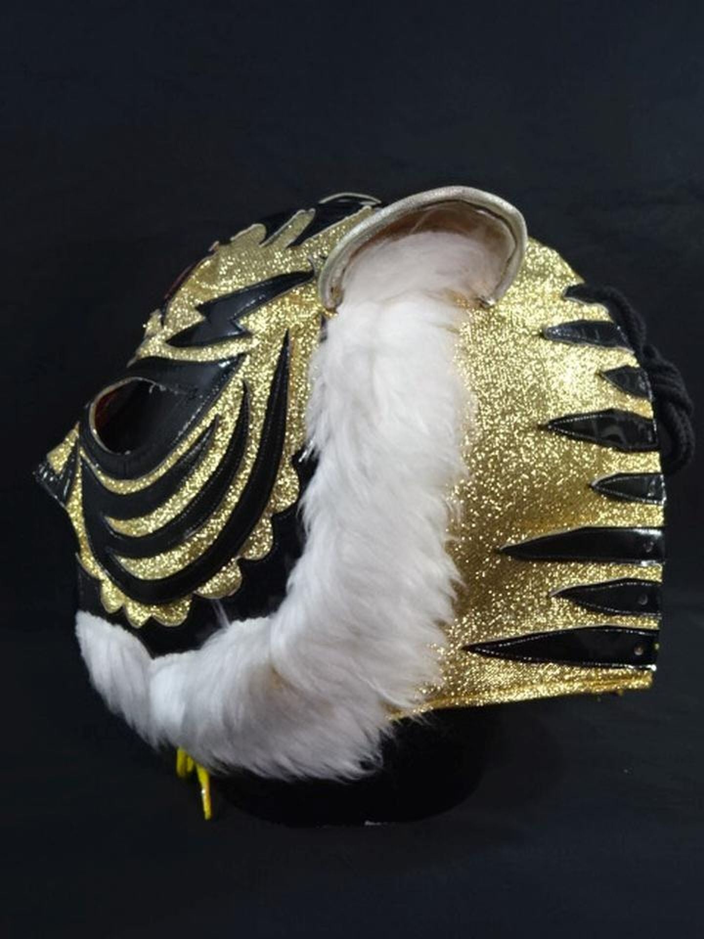 The first Tiger Mask