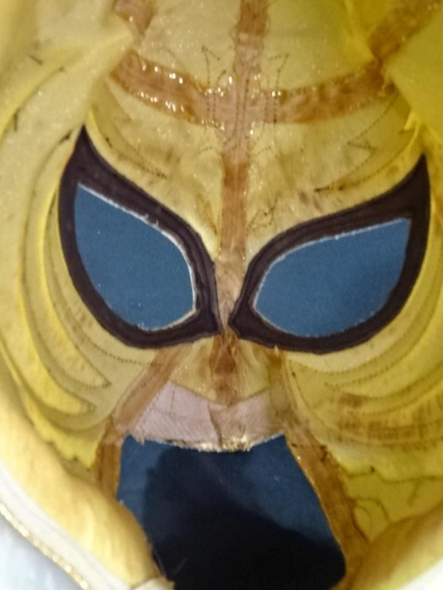 The first Tiger Mask