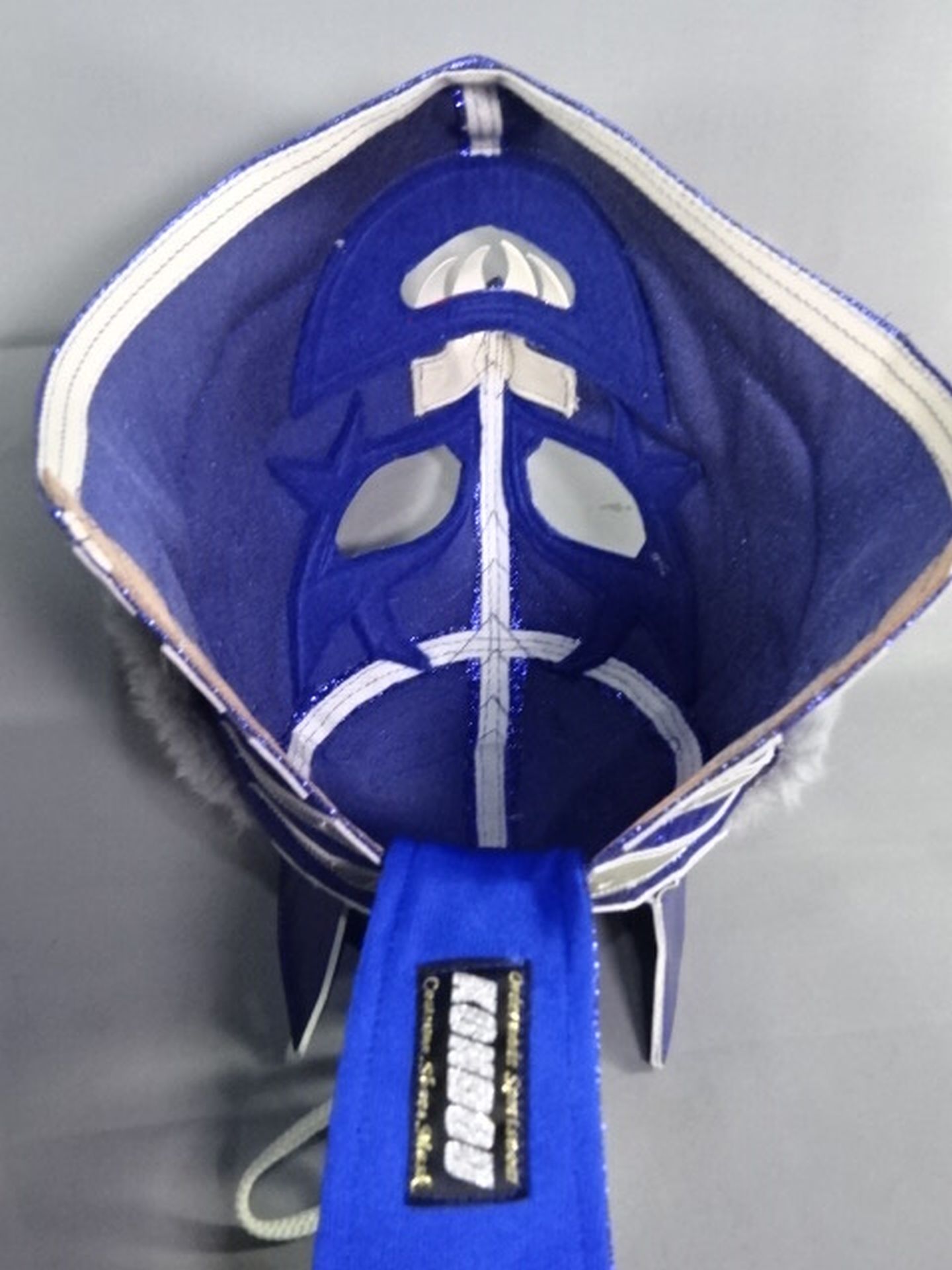 The Blue Shark