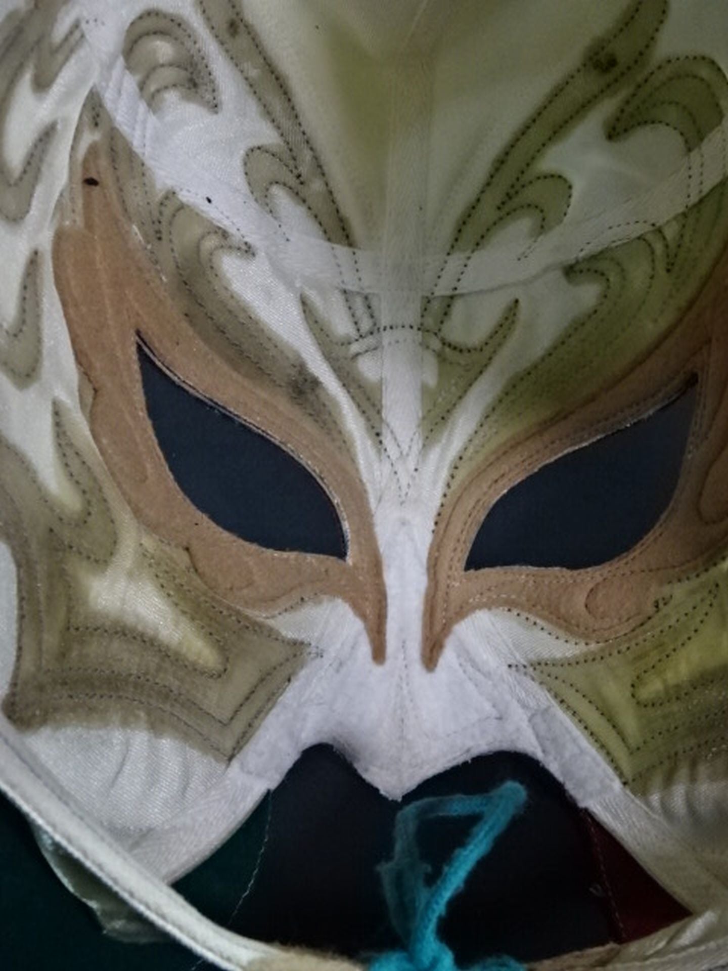 Super Shisa
