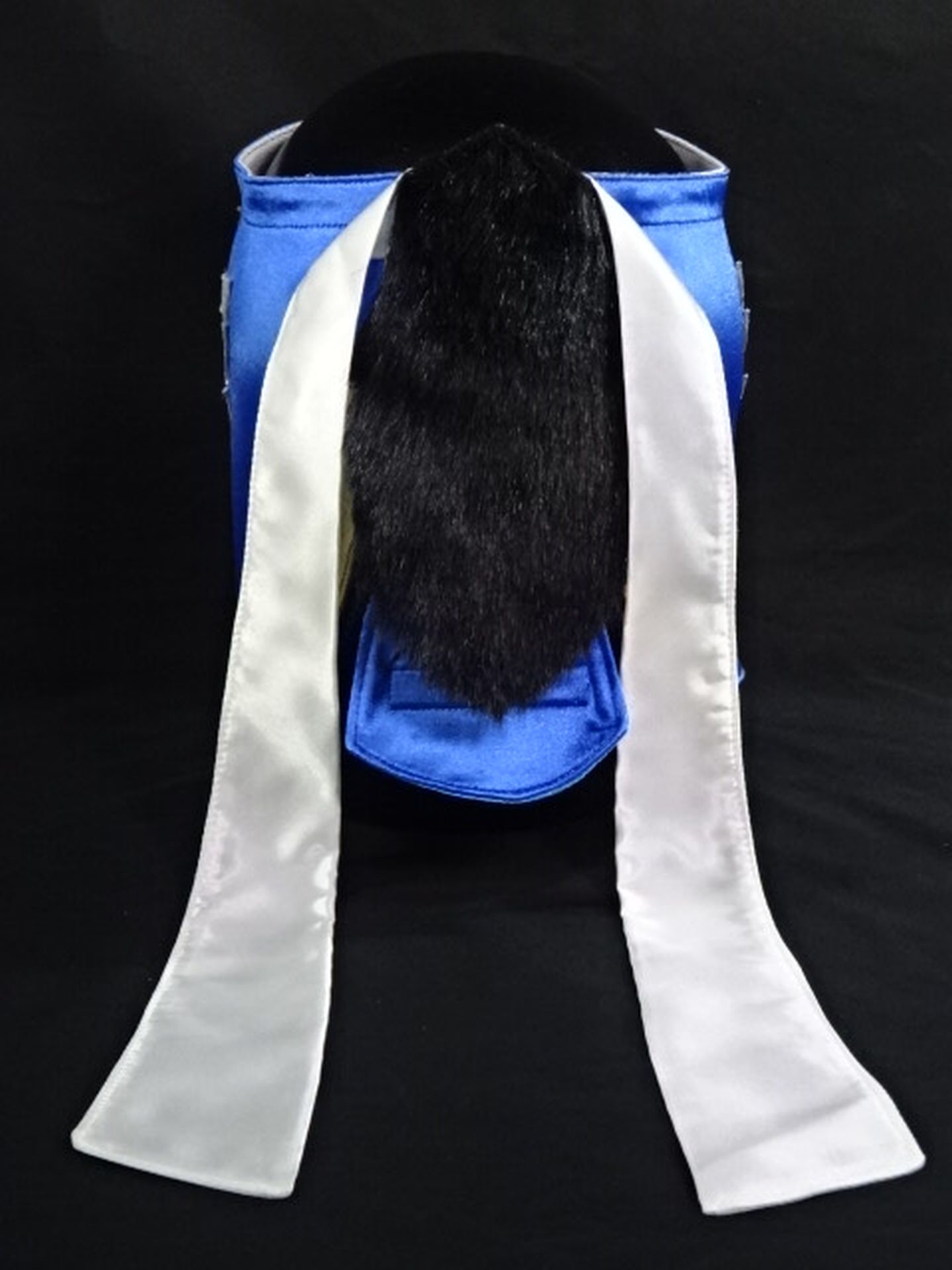 HAYABUSA