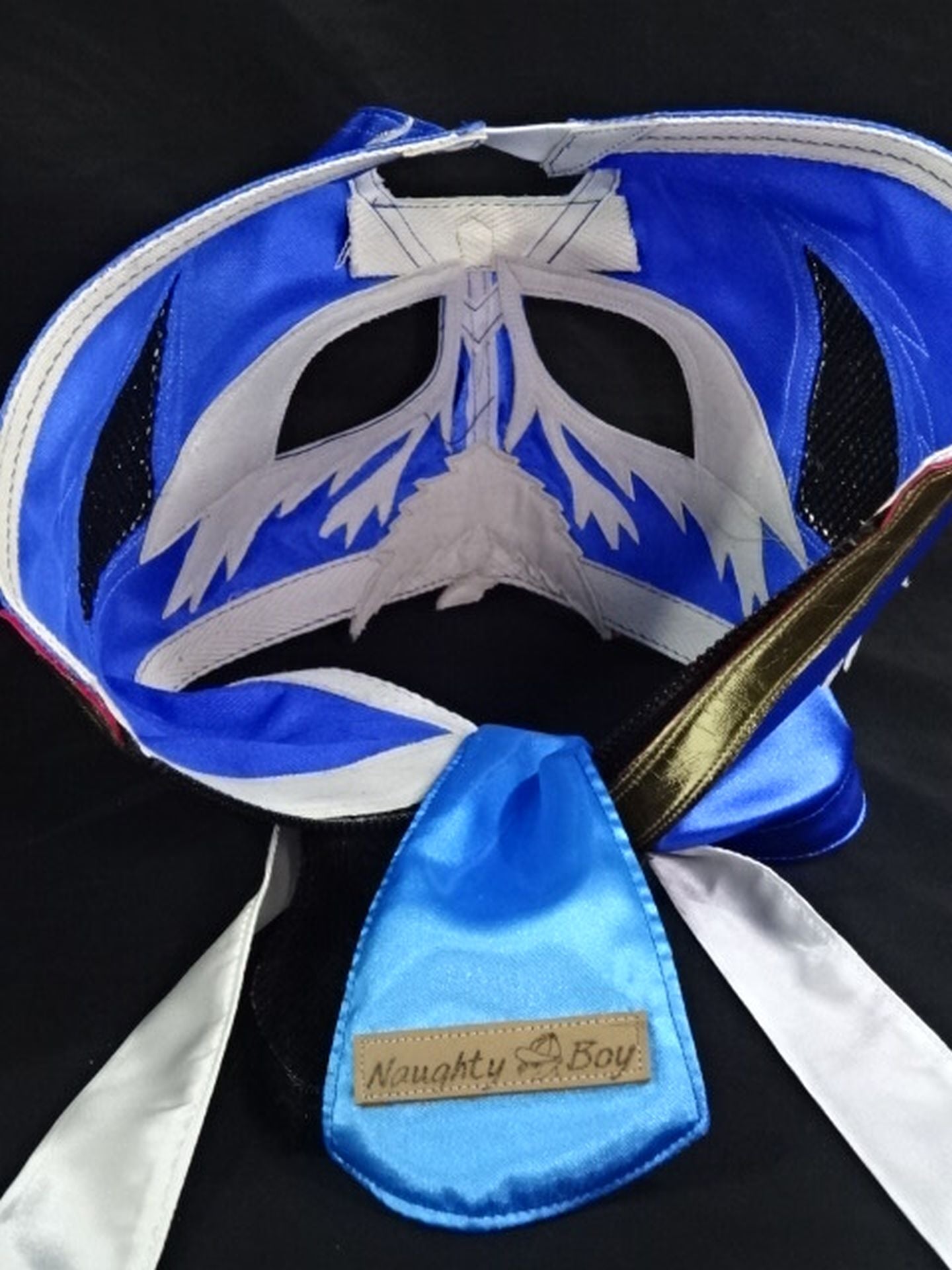 HAYABUSA