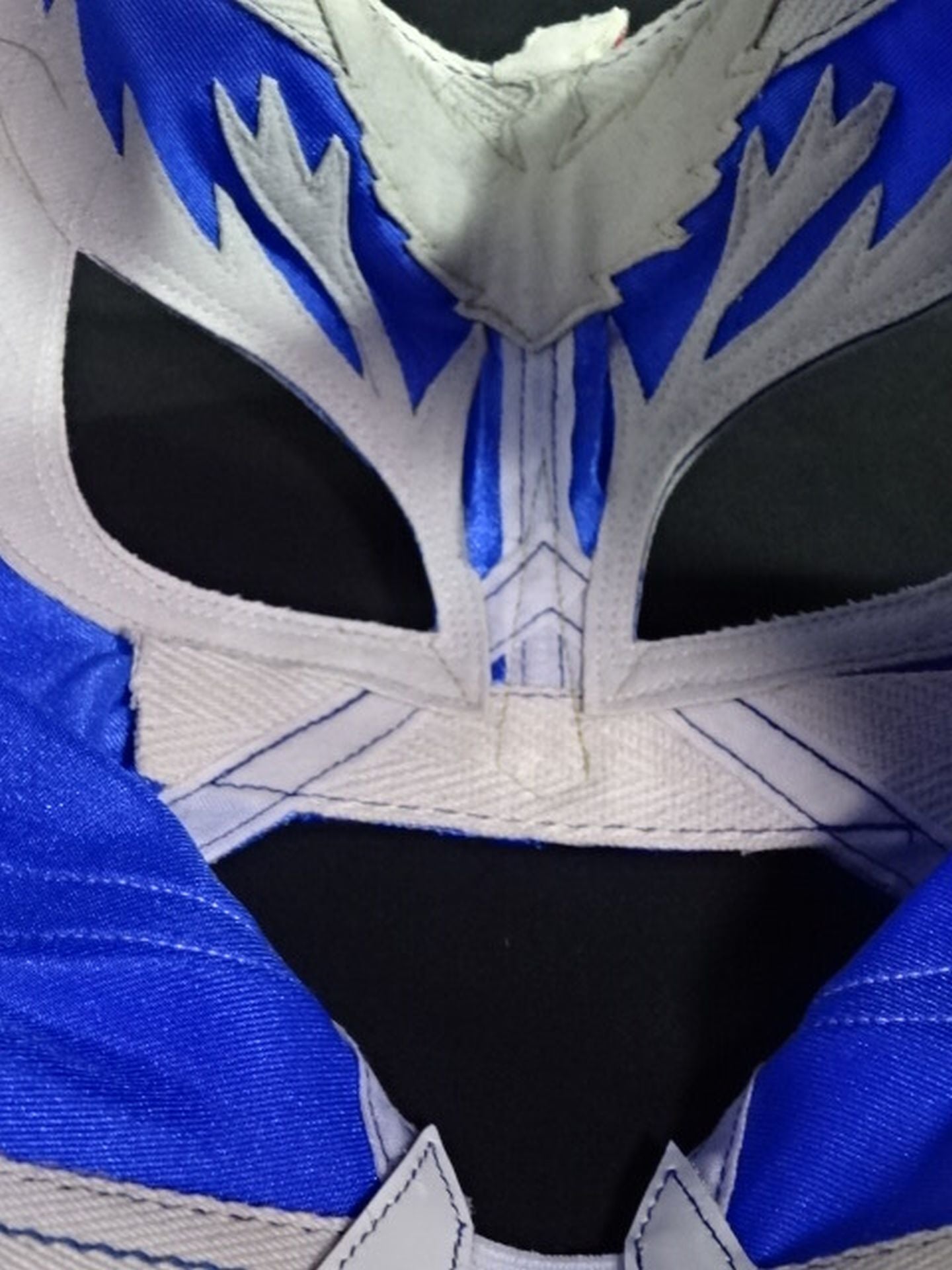 HAYABUSA