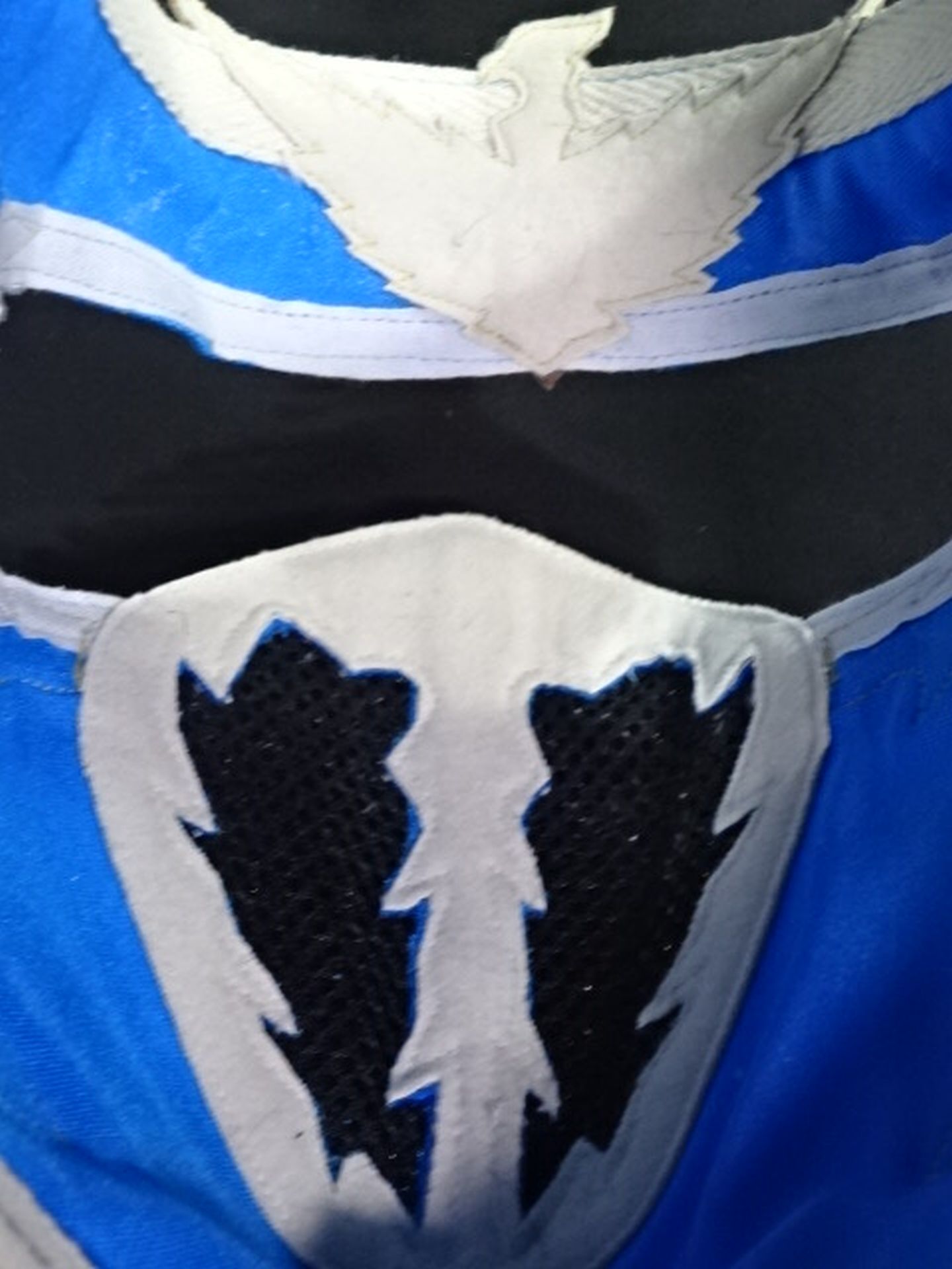 HAYABUSA