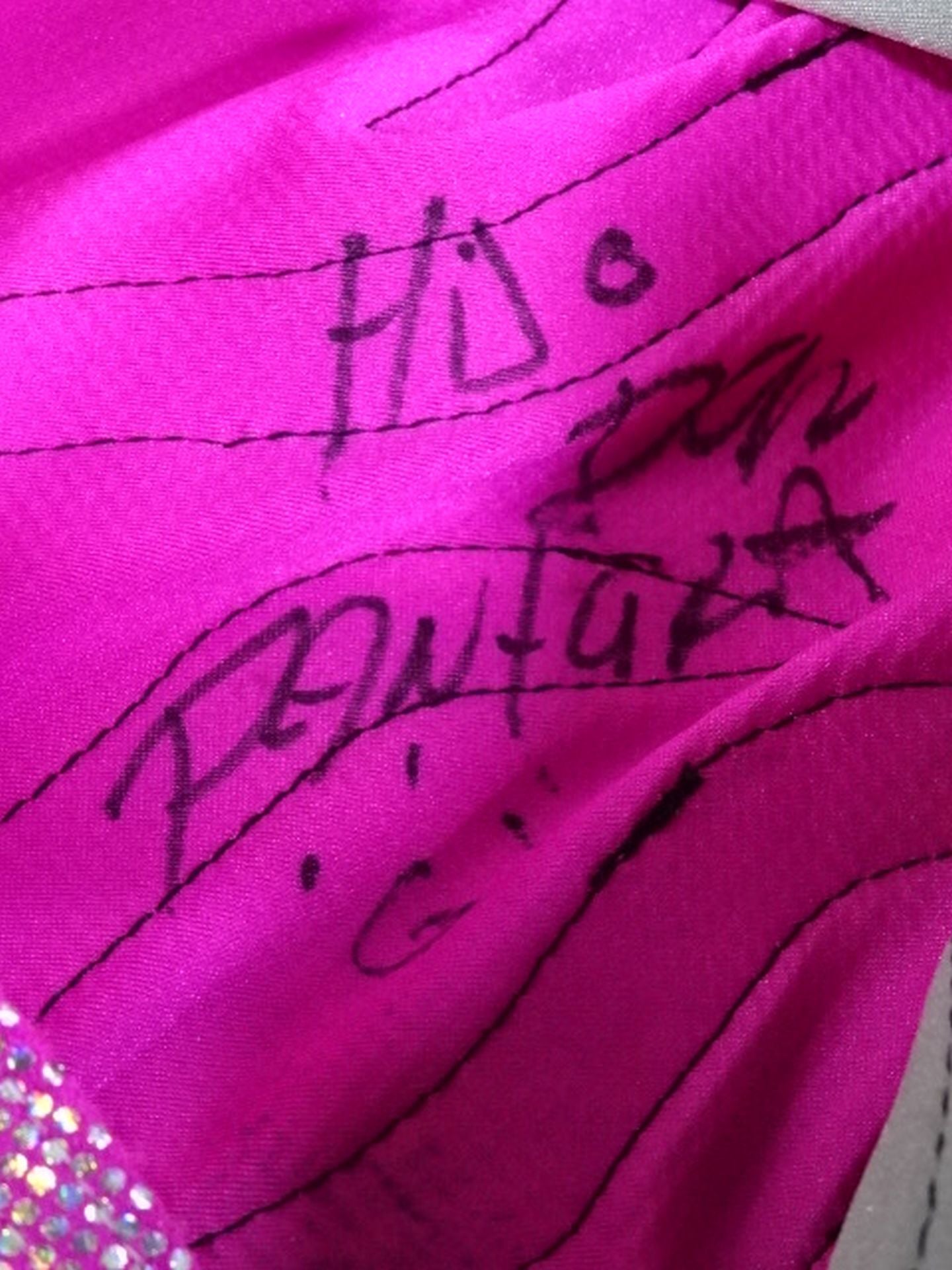 エル・イホ・デル・パンテーラ