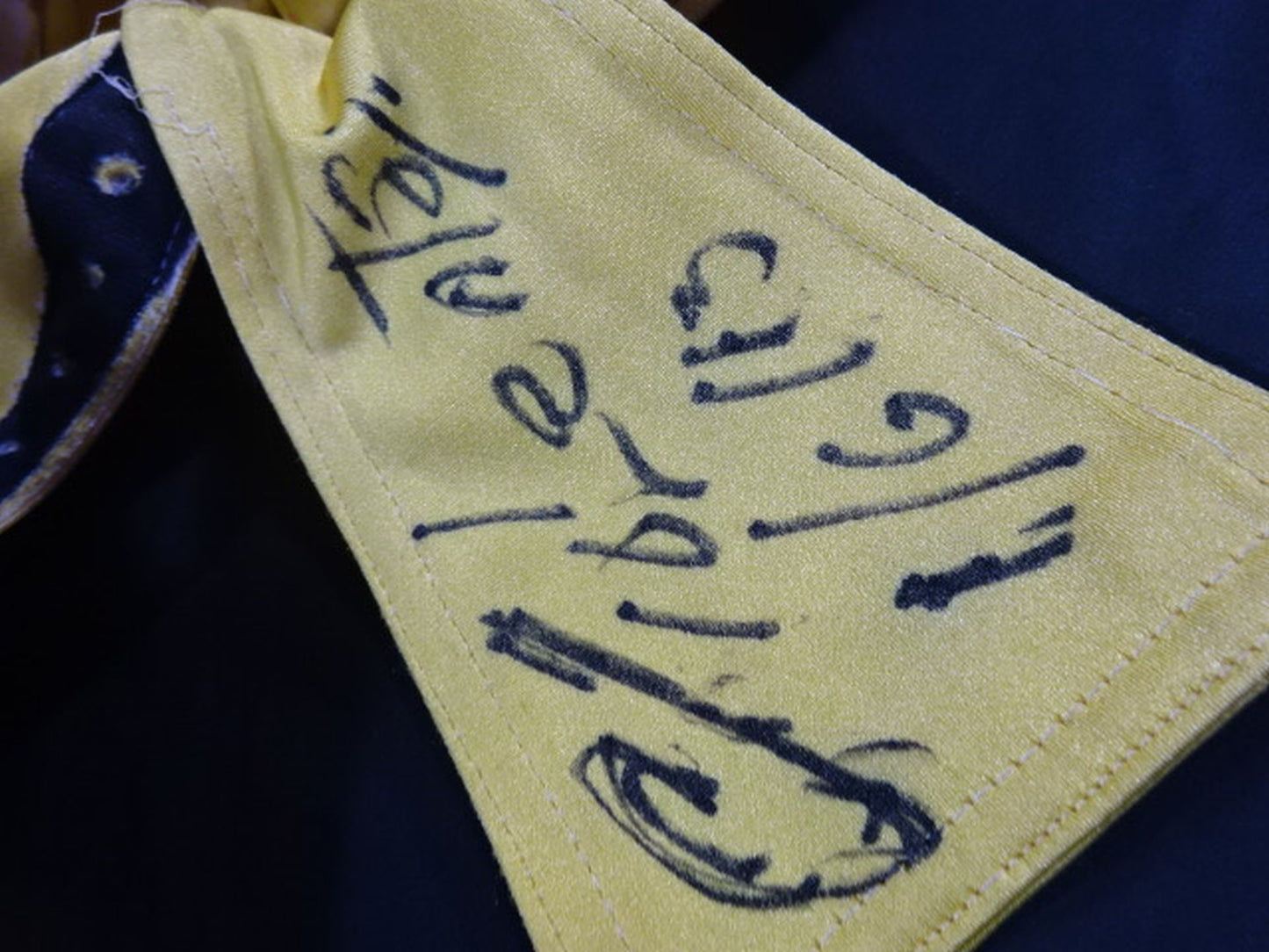 エル・ビオレント(アス・チャロ)