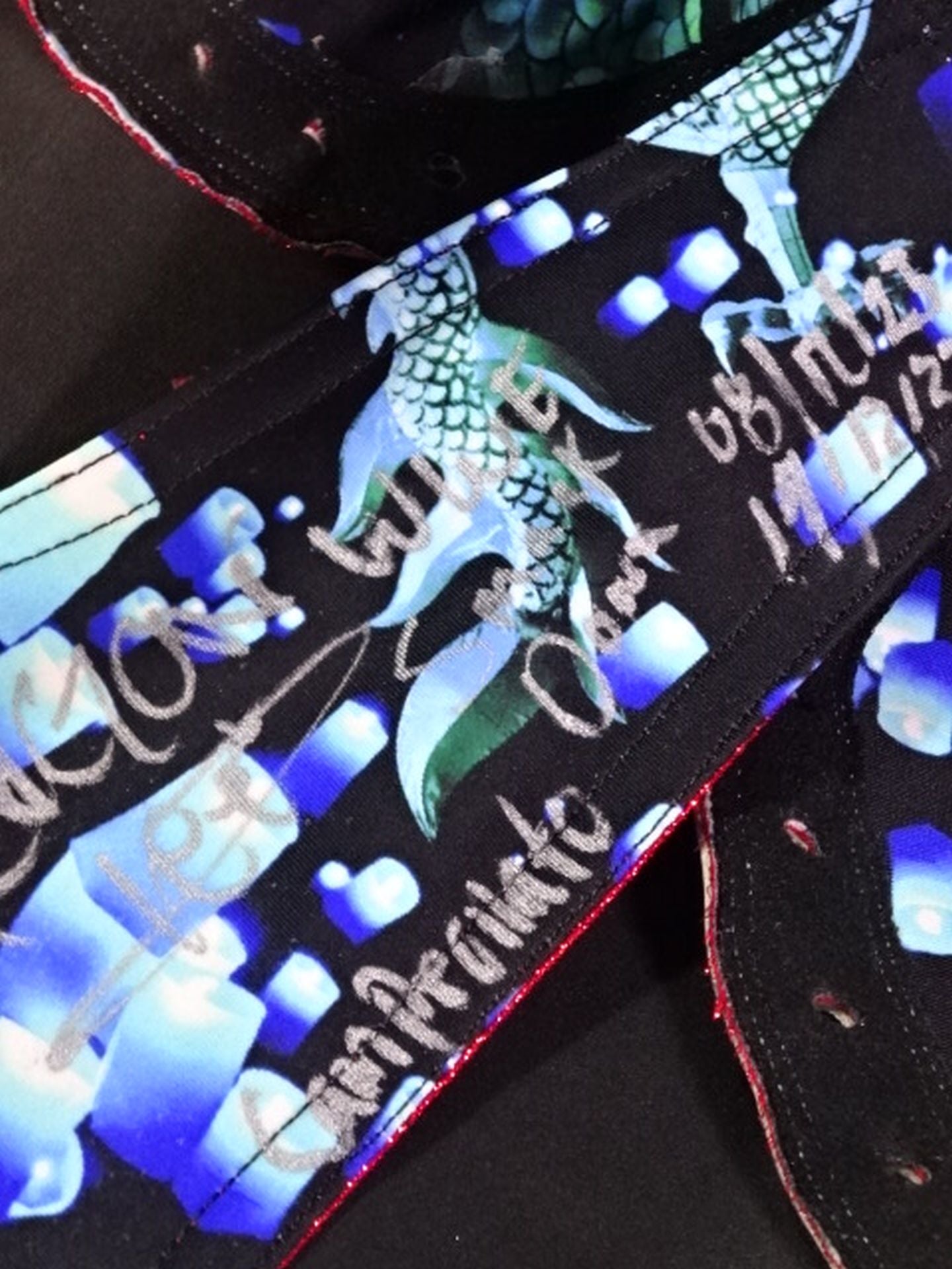 ドラゴン・リー ★WWE NXT&SMACKDOWN 実使用!!★