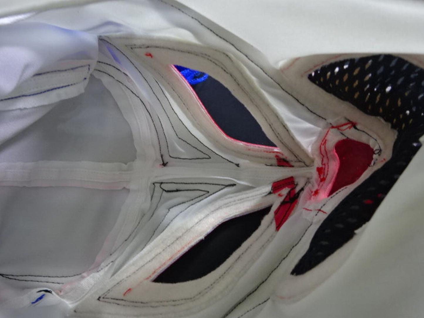 パヤソ・ココ・アスール