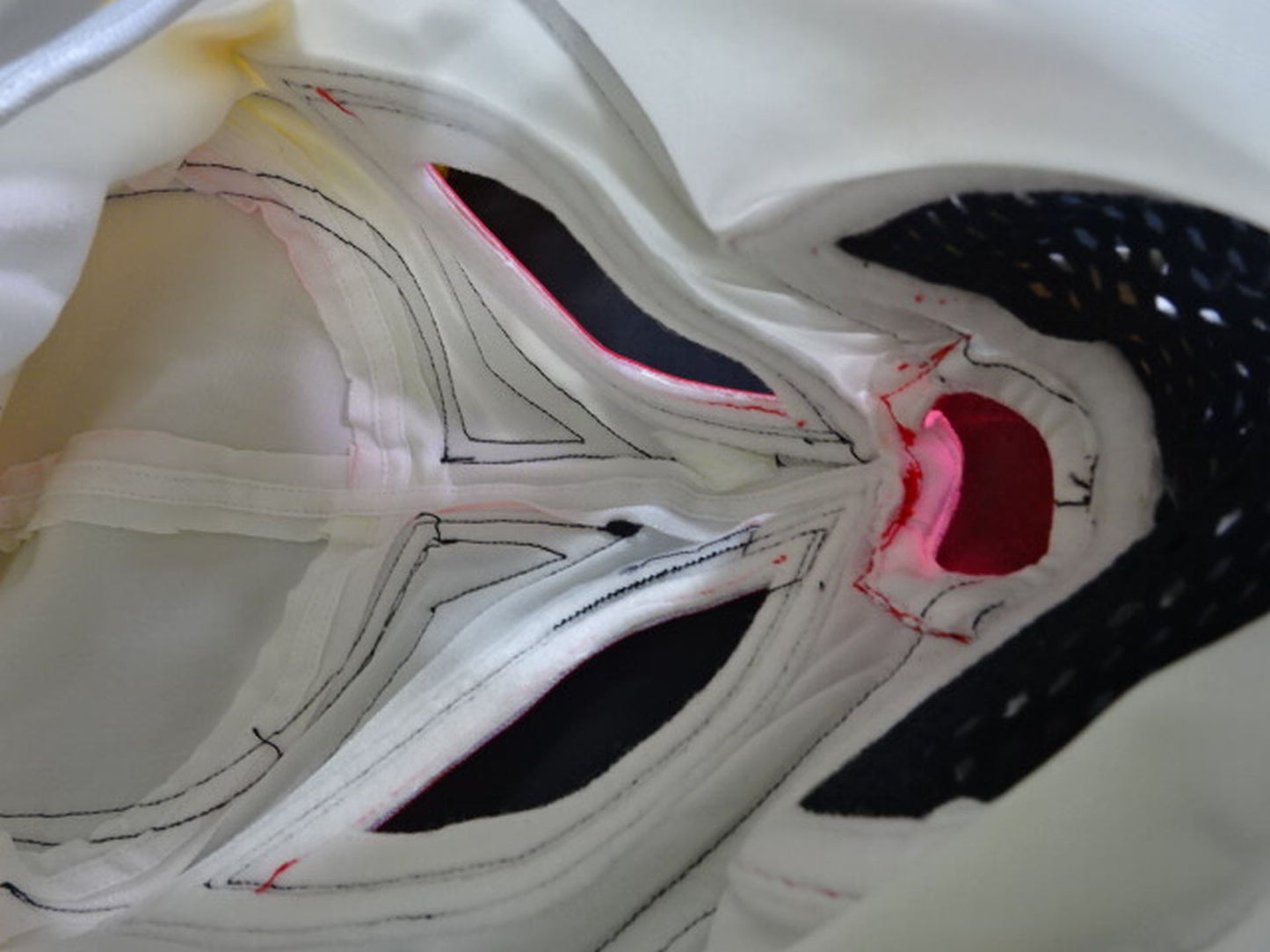 パヤソ・ココ・アマリージョ