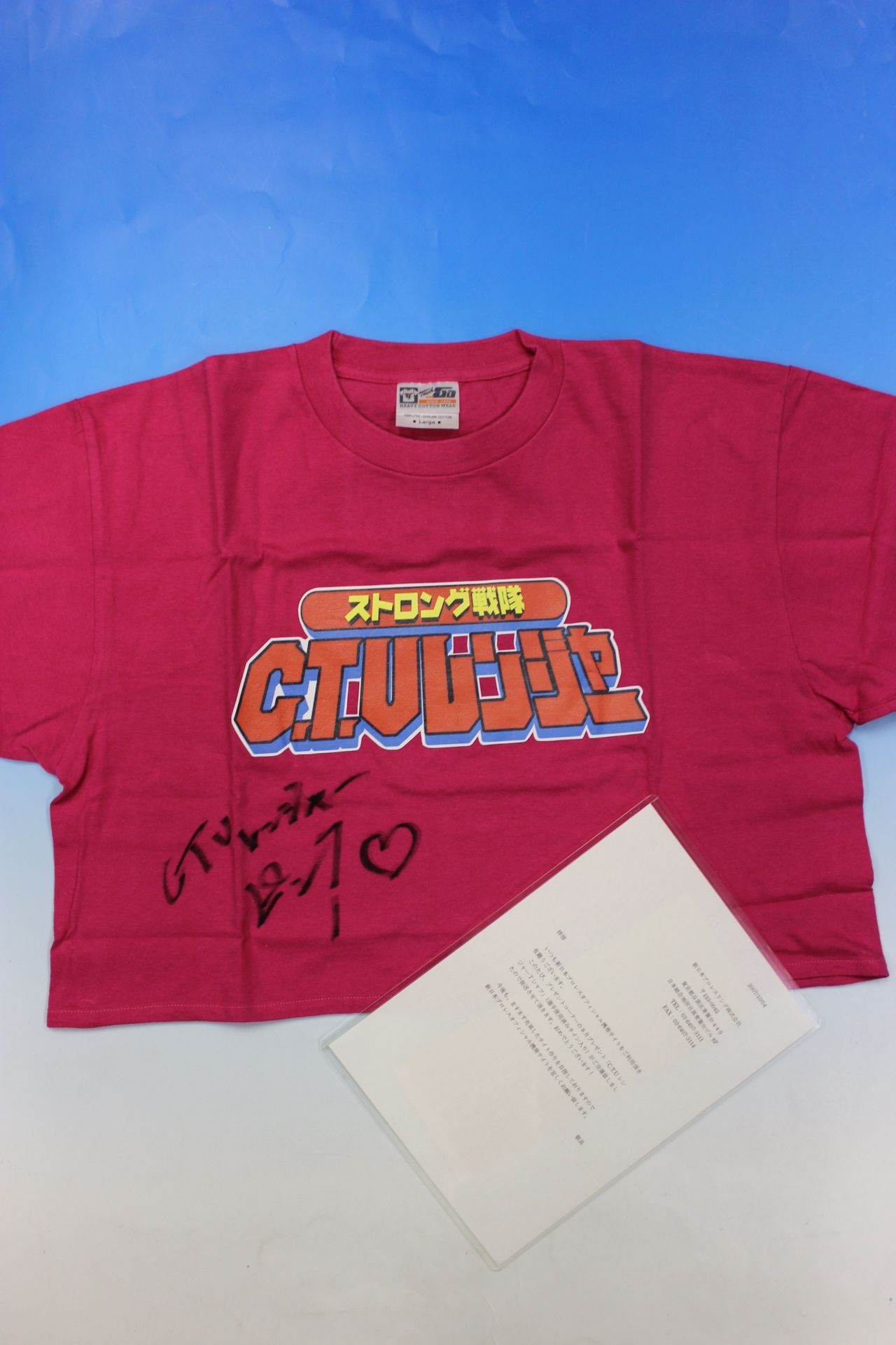 CTU Ranger Pink (Minoru Tanaka )