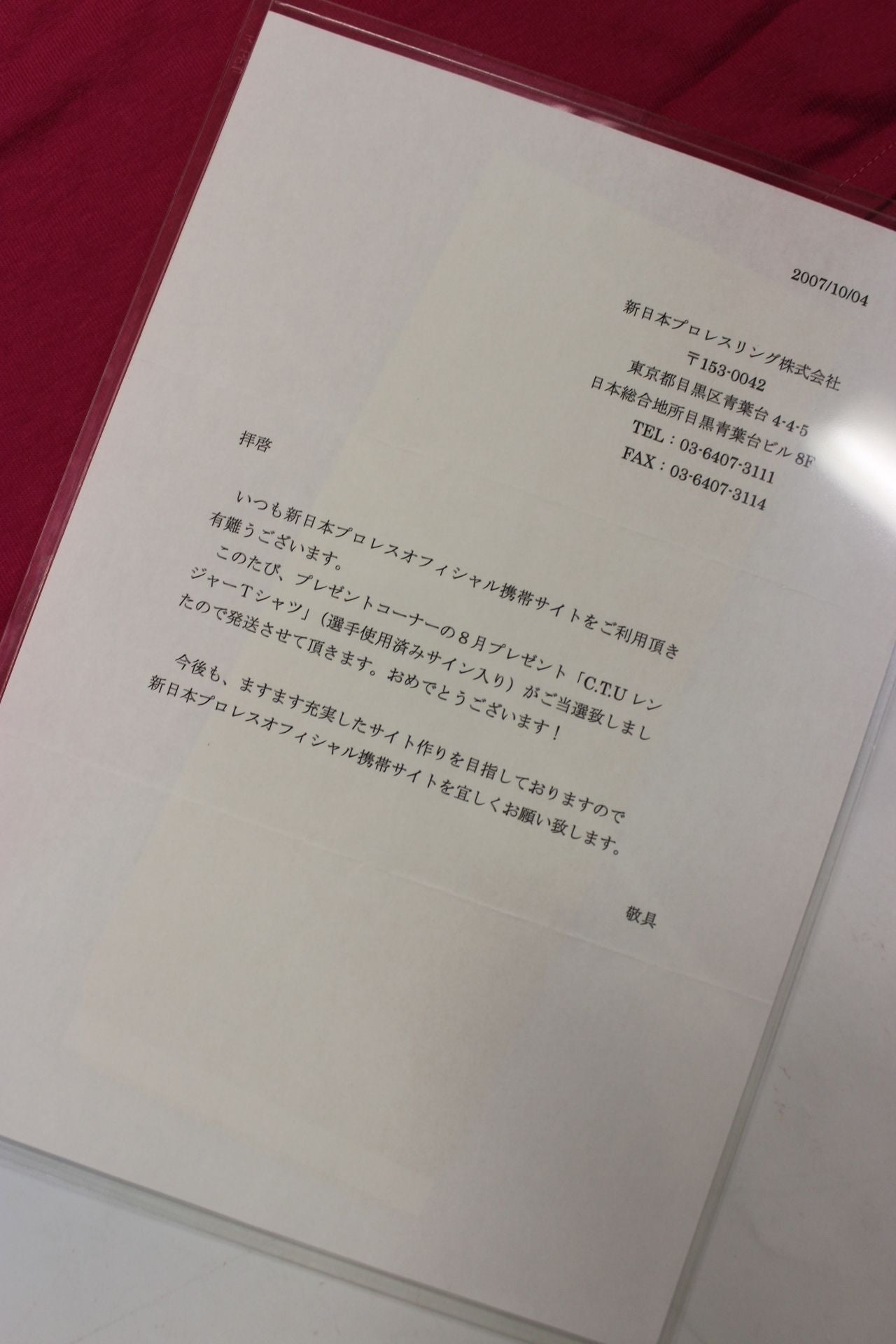 CTU Ranger Pink (Minoru Tanaka )