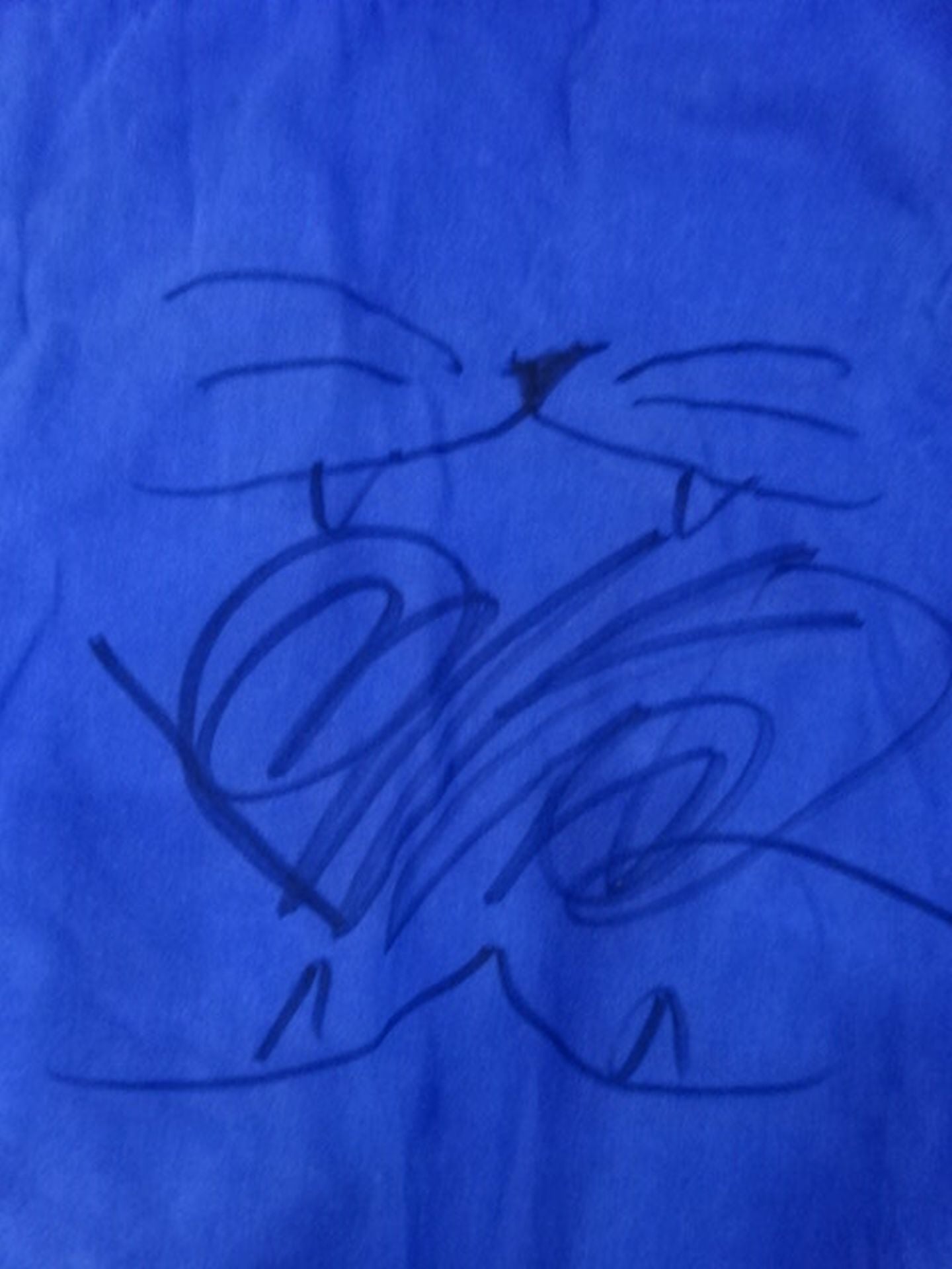 岡倫之(グレート-O-カーン)