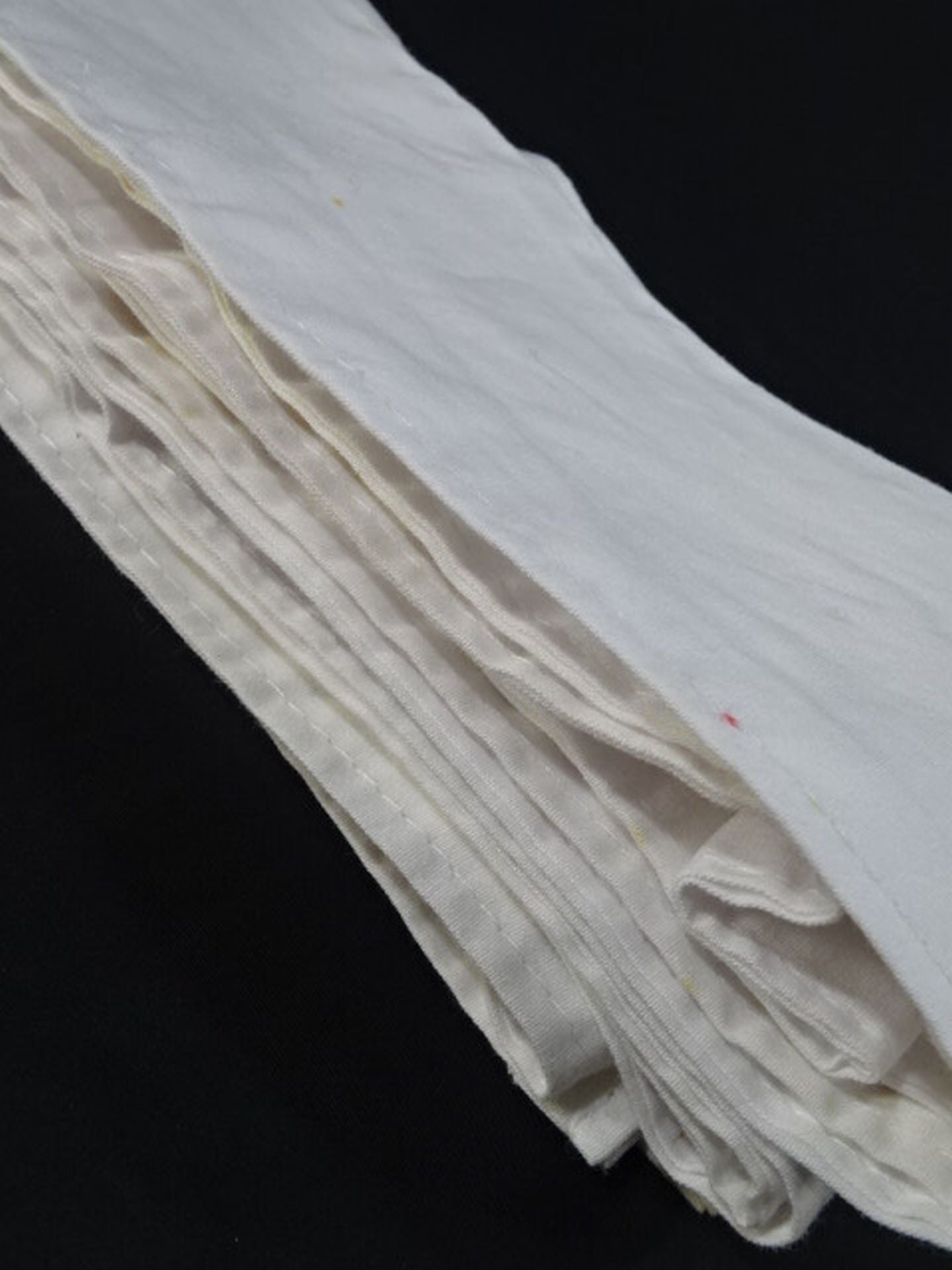 橋本真也 ★ハッスル2実使用!!★