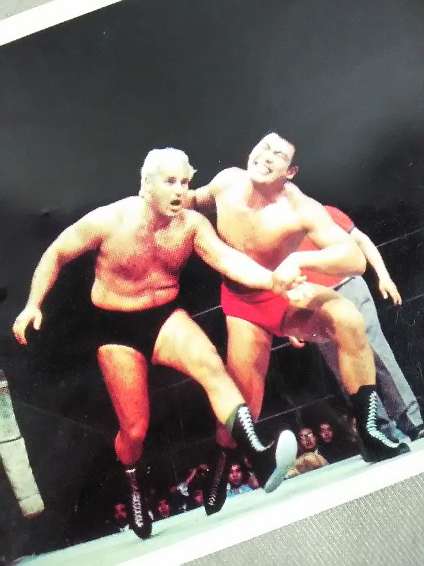 Japan Pro Wrestling Wrestler Photo made by Kobito(15)