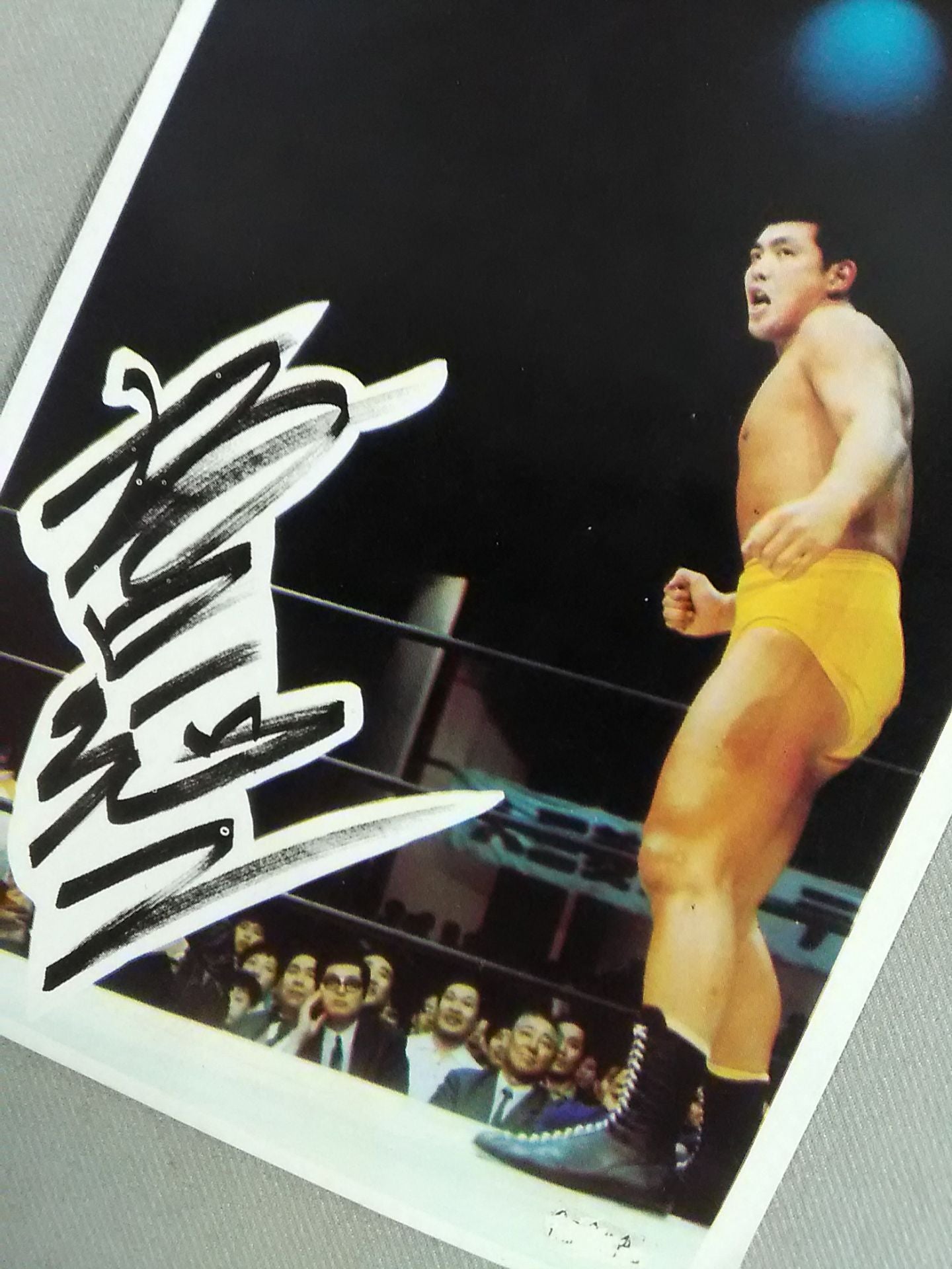Japan Pro Wrestling Wrestler Photos made by Kobito(5)