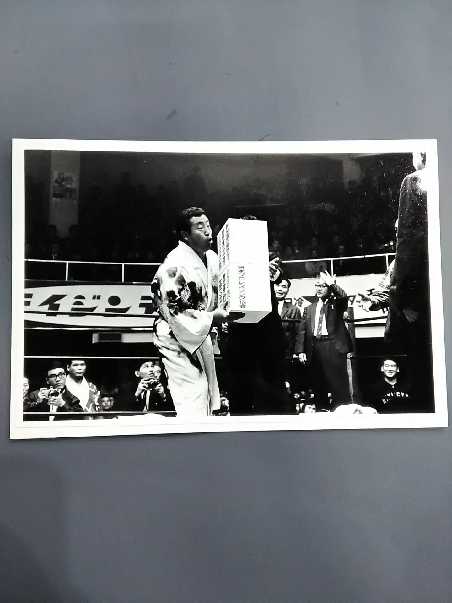 Rikidozan Black and White Photo (5)