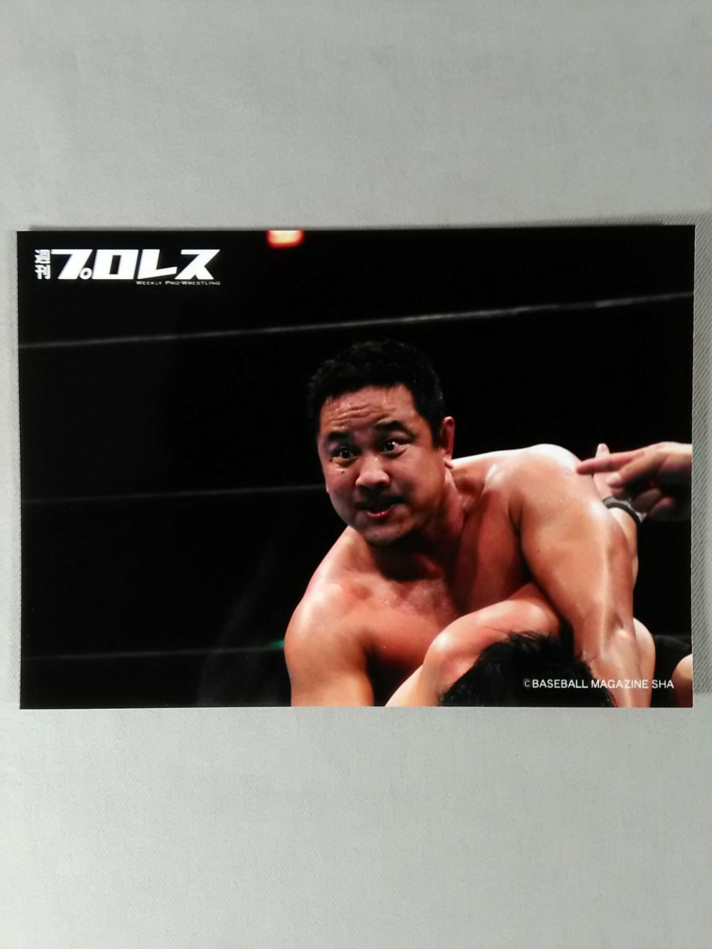 ★ ★ Weekly Pro Wrestling Yuji Nagata photo