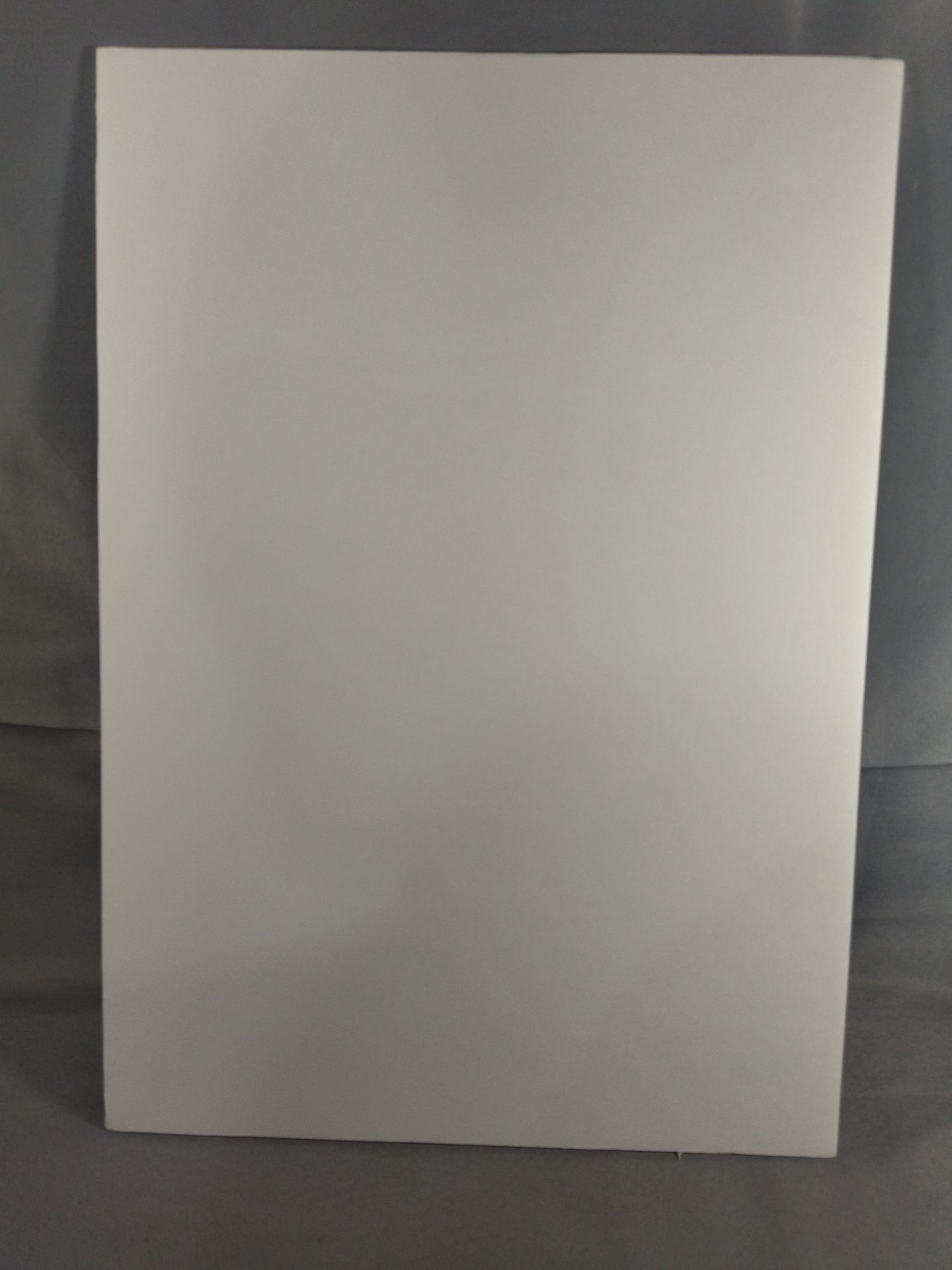 後藤洋央紀vsカール・アンダーソン フォトパネル