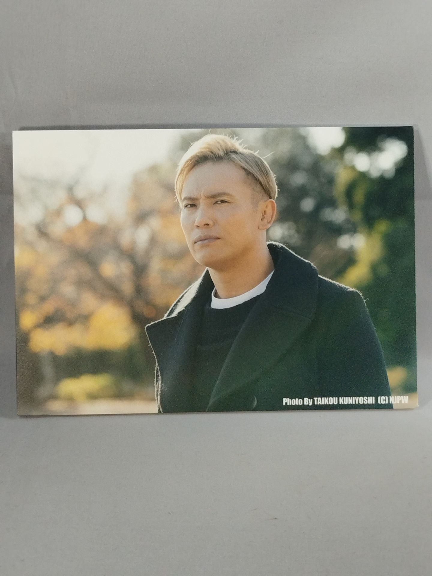 Kazuchika Okada New Japan Pro Wrestling Photo panel