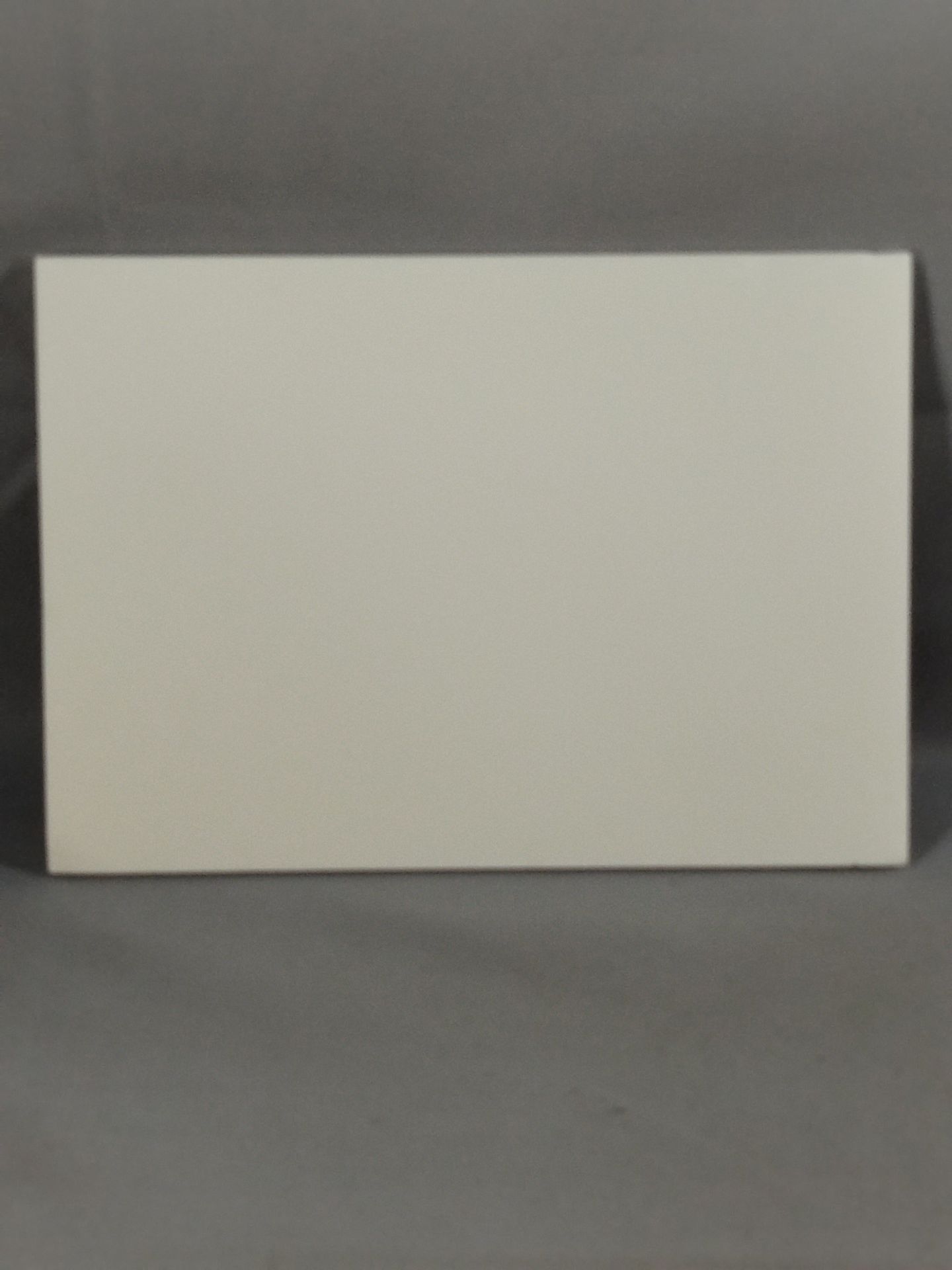 オカダ・カズチカ 新日本プロレス 写真パネル