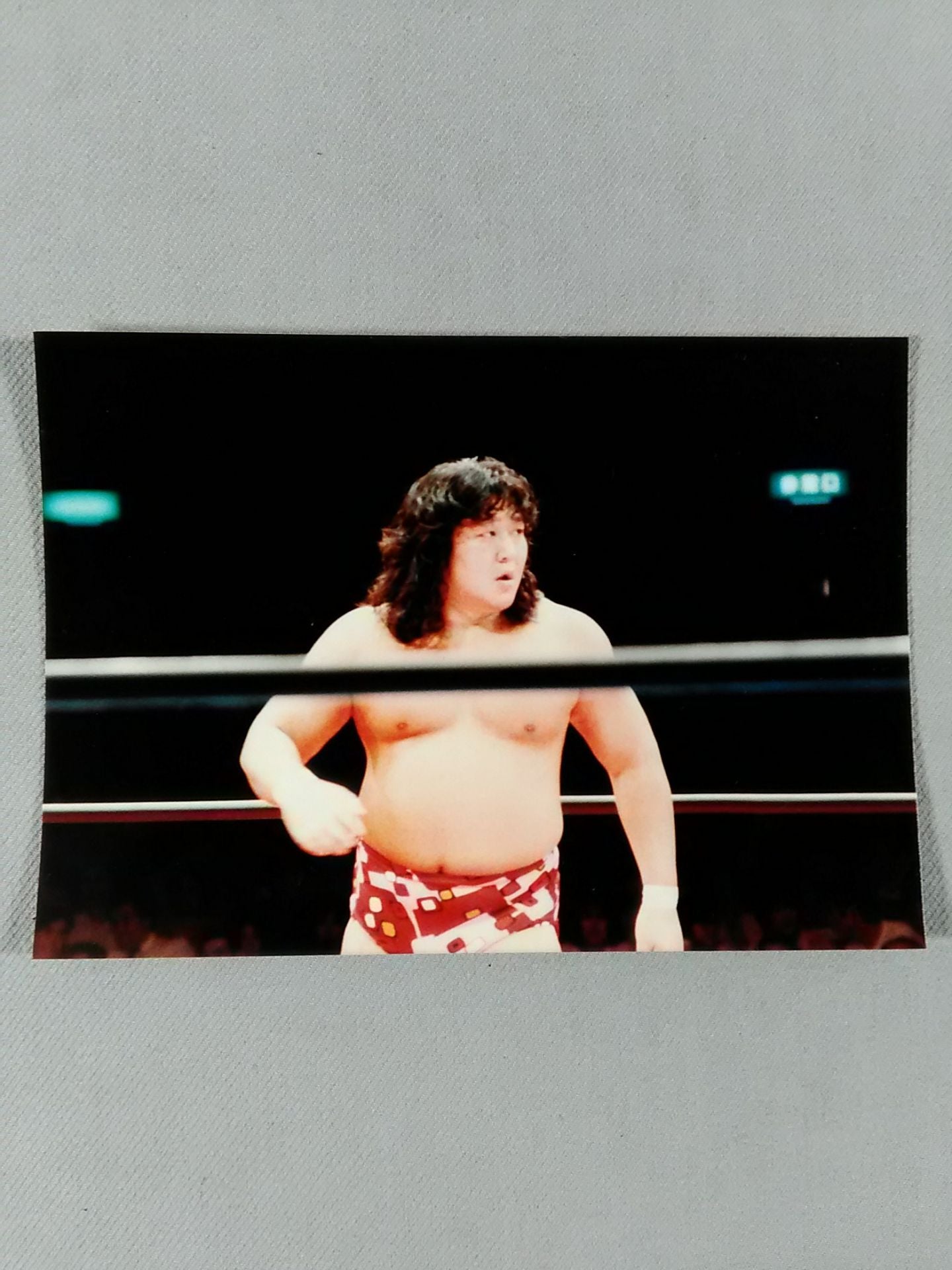 Samson Fuyuki photo (1)