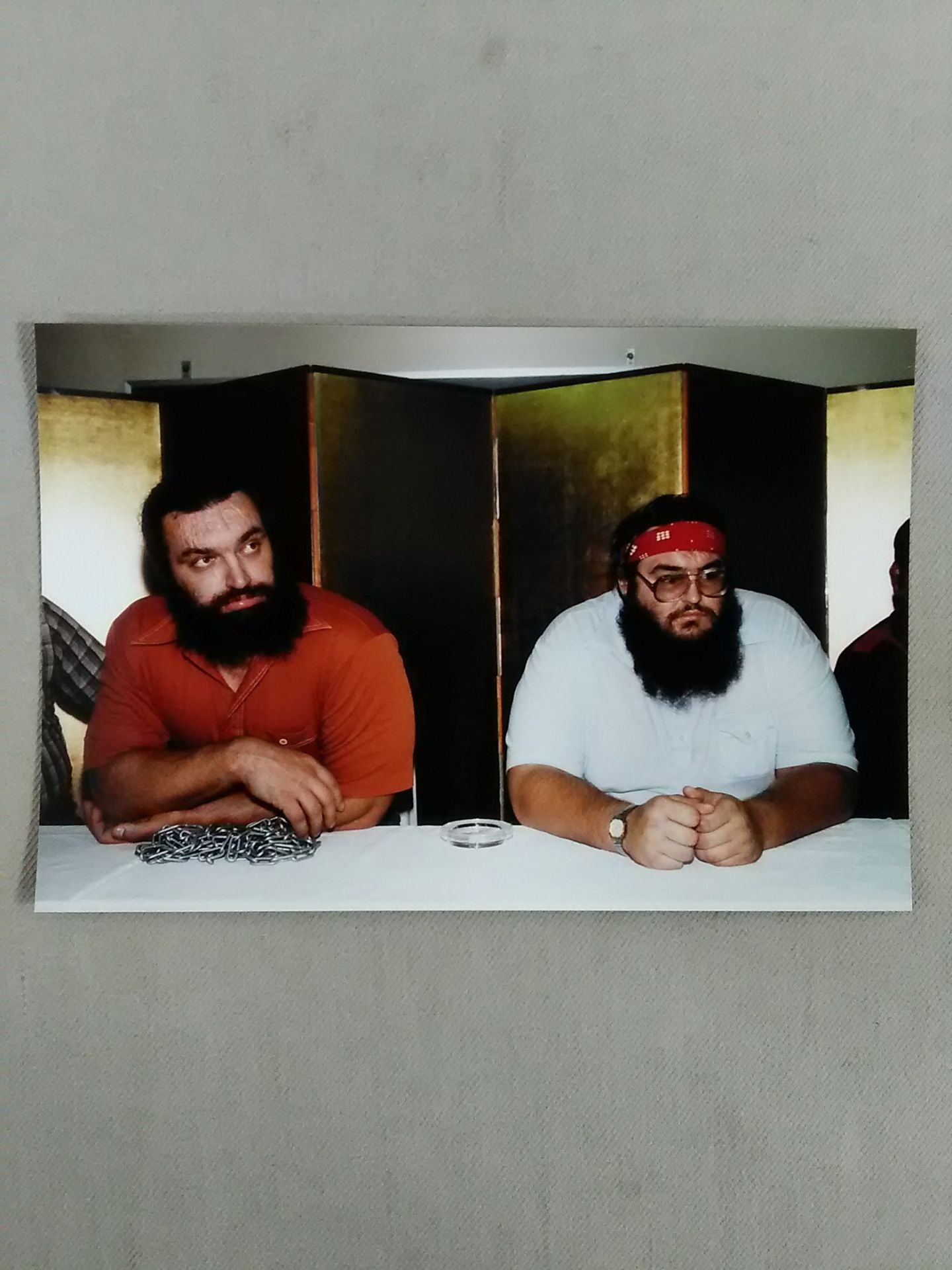 ブルーザー・ブロディ&ワンマン・ギャング 生写真③