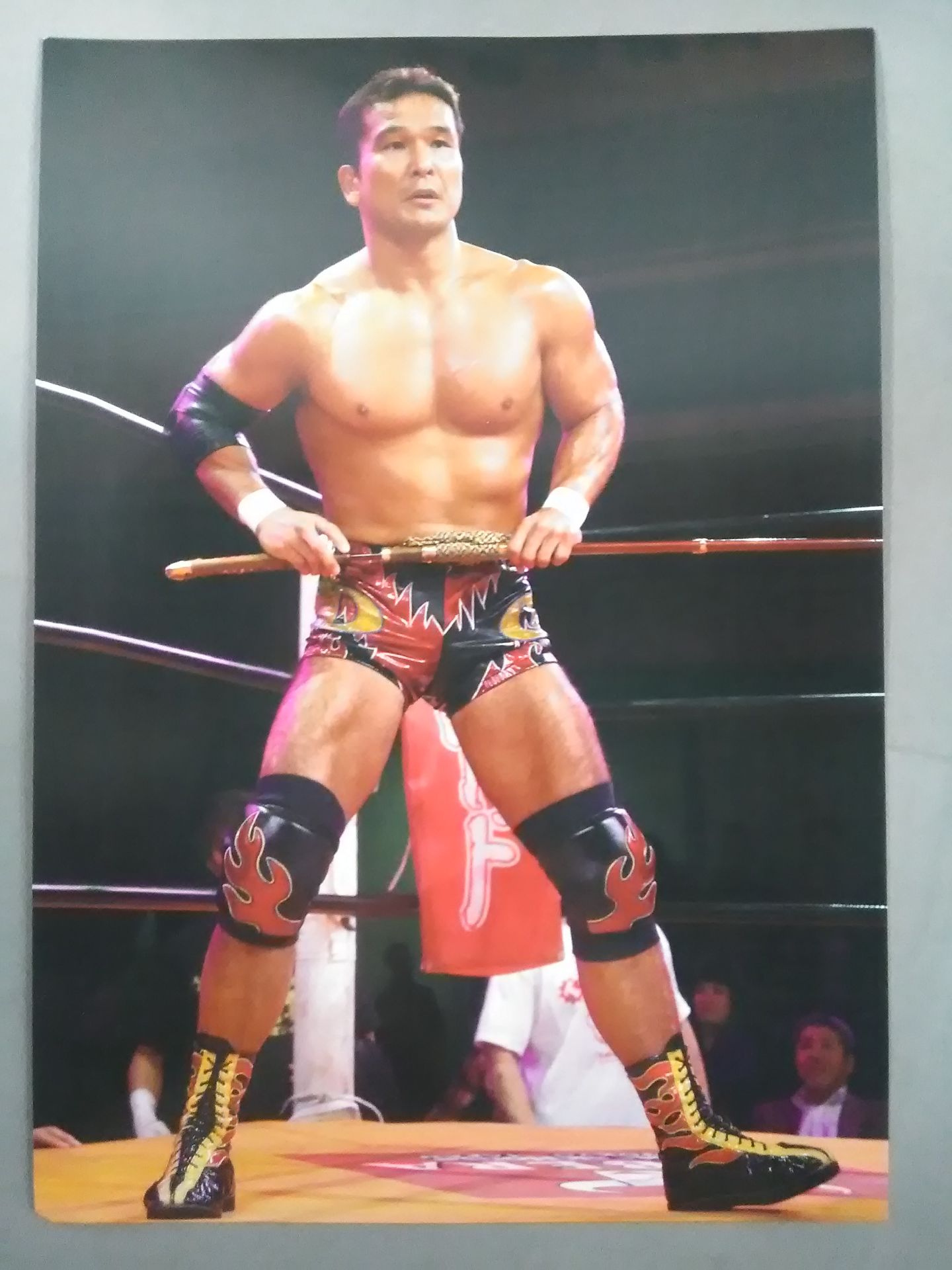 プロレスリングZERO1 ポートレートセット