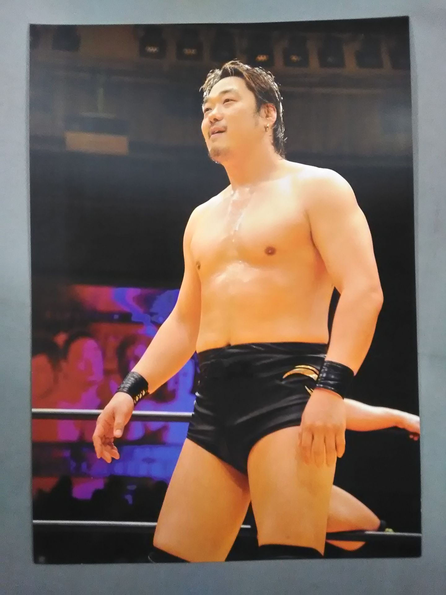 プロレスリングZERO1 ポートレートセット