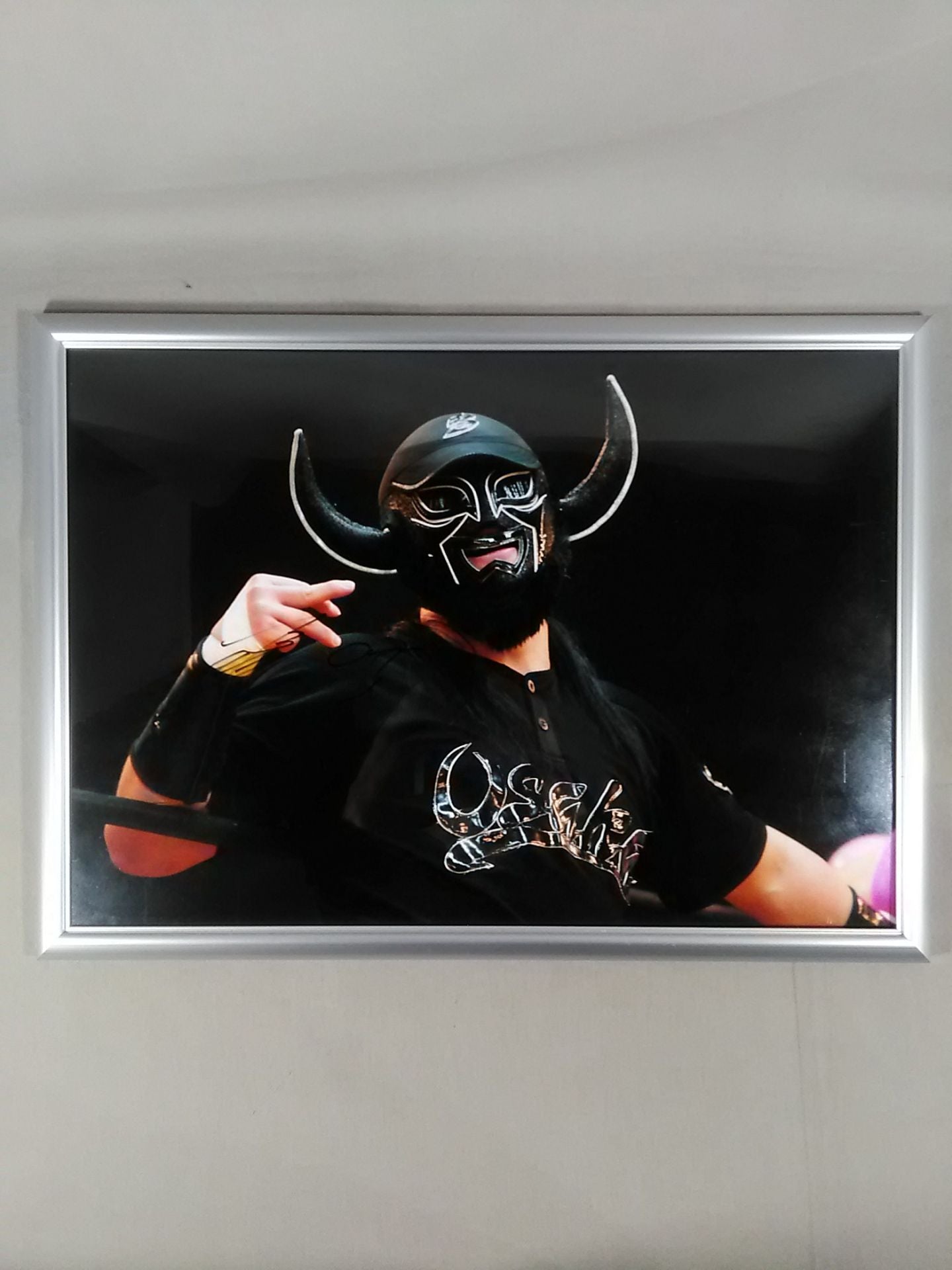 Black Buffalo Hand Signed Autograph Photo Panel