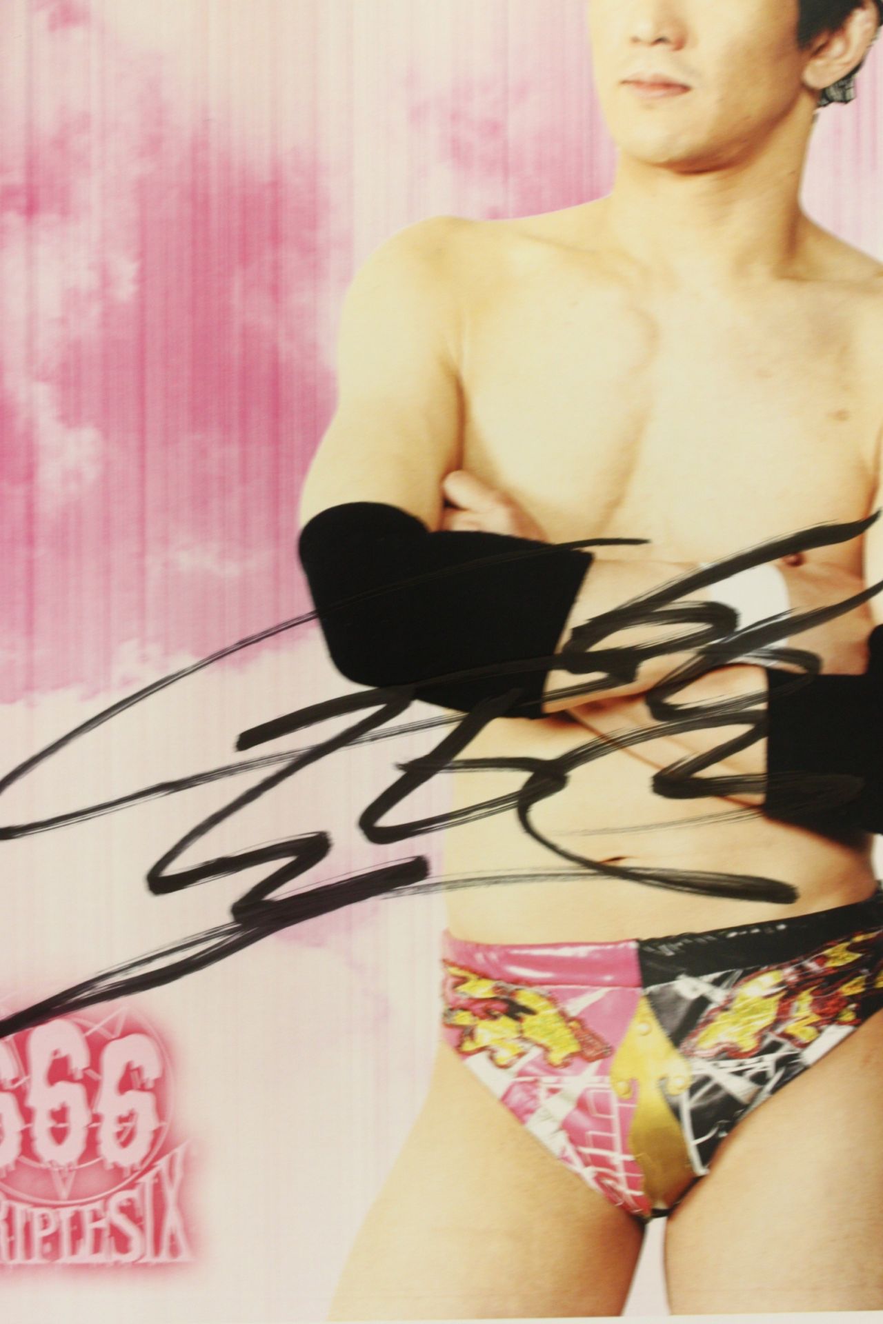 Shinobi hand signed autograph Pro-Photo ③