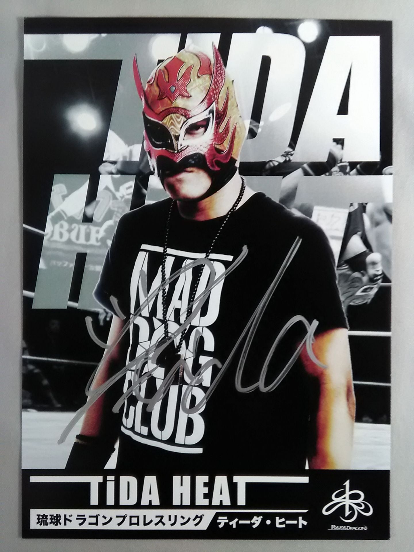 ティーダ・ヒート 直筆サイン入りポートレート