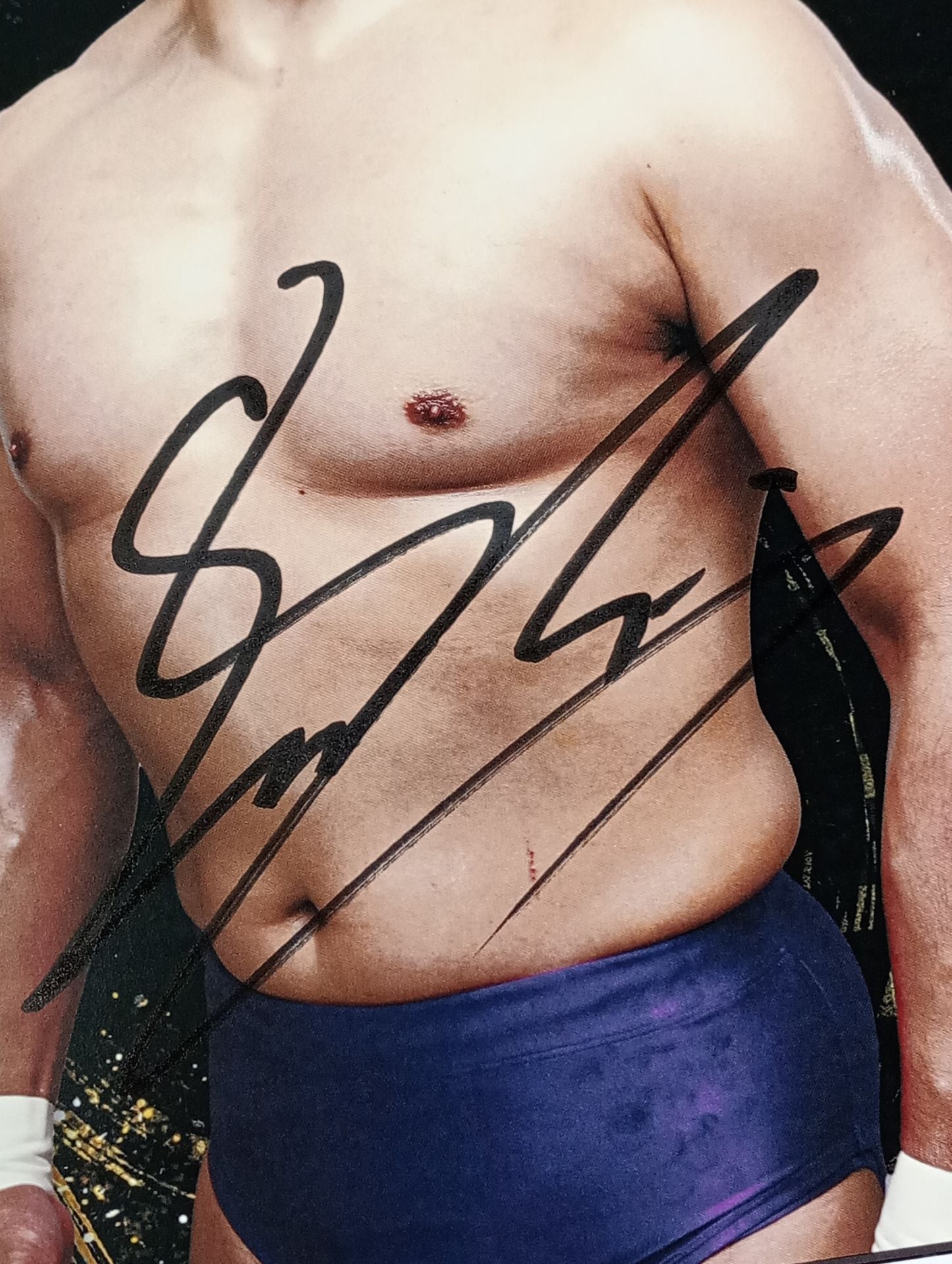 ★プロレス温故知新2★ 鈴木秀樹 直筆サイン入りポートレート(D)