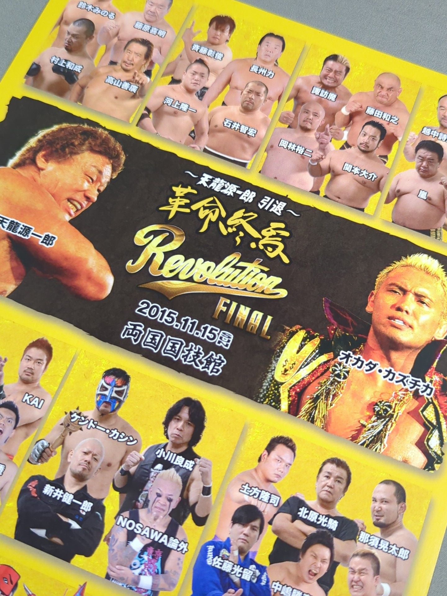 天龍源一郎 引退 革命終焉 ポートレート