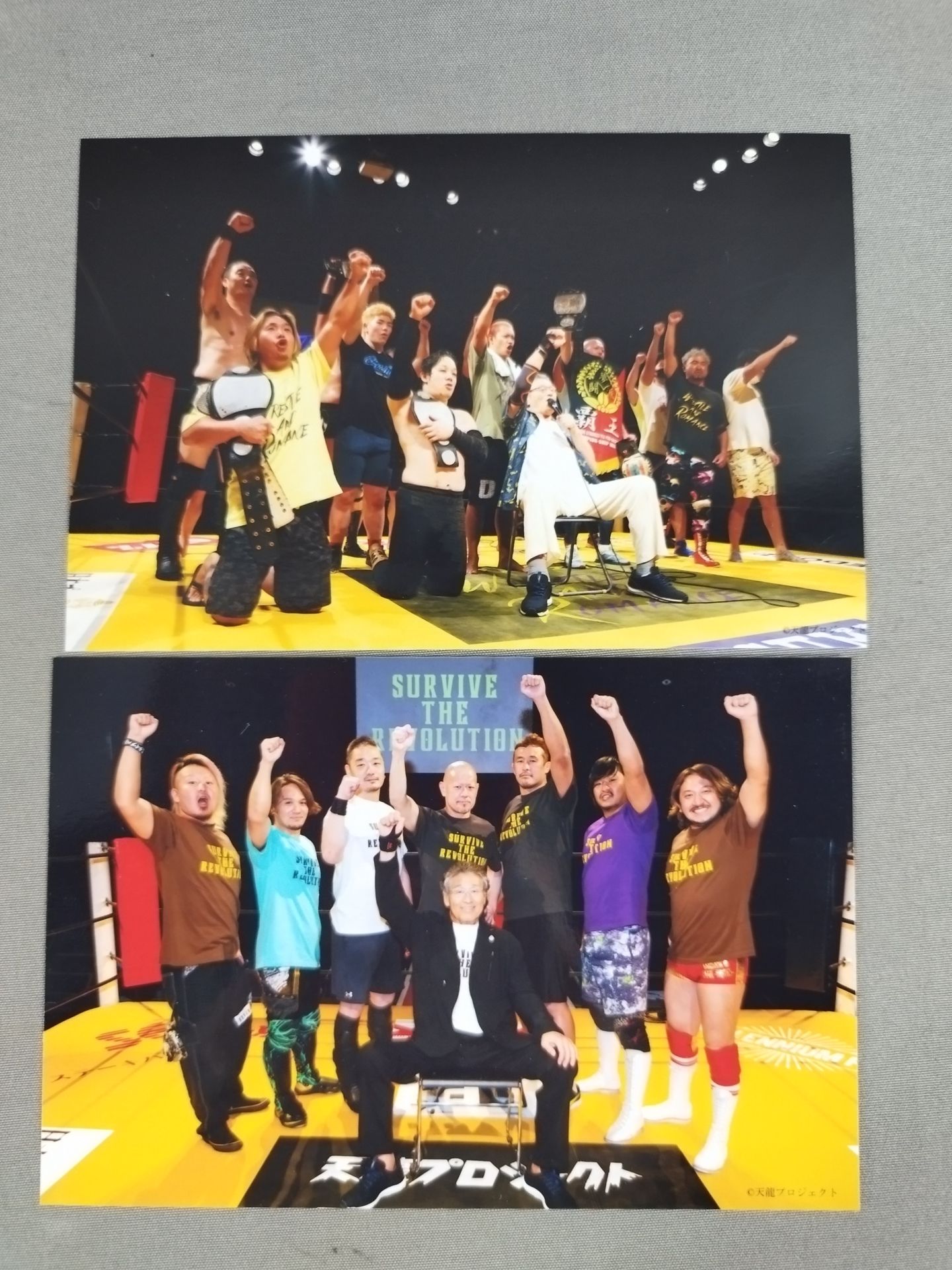 天龍プロジェクト ブロマイドセット(A-1)