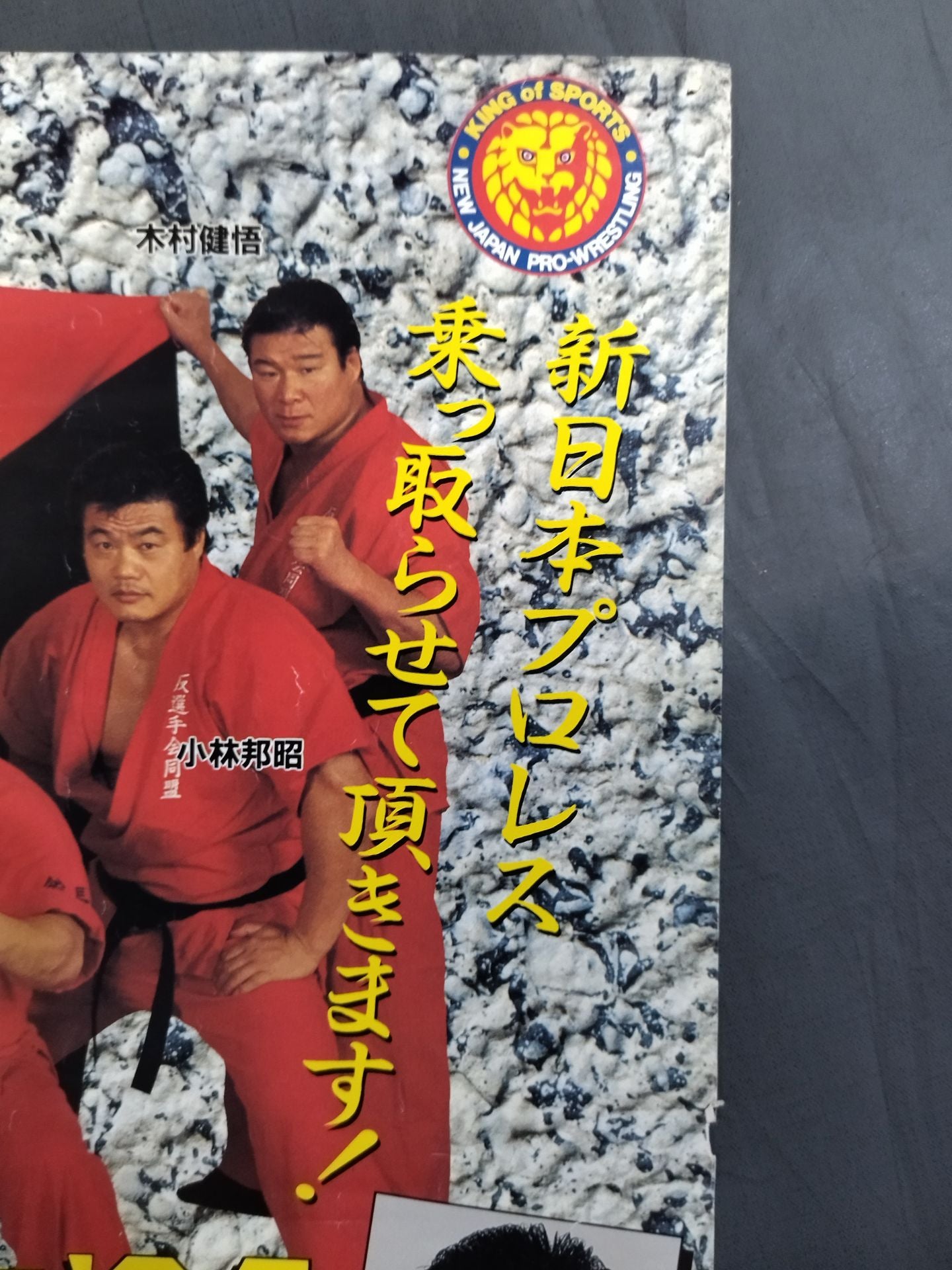 ファイティング・スピリット’94