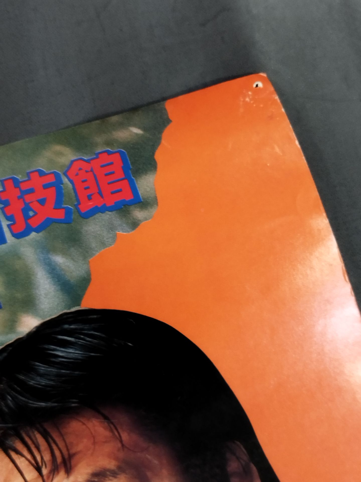 87サマーナイト・フィーバー・イン・国技館