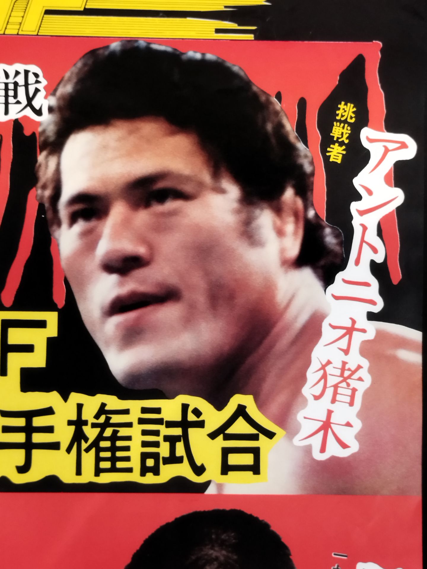 80ブラディファイトシリーズ【開幕戦】