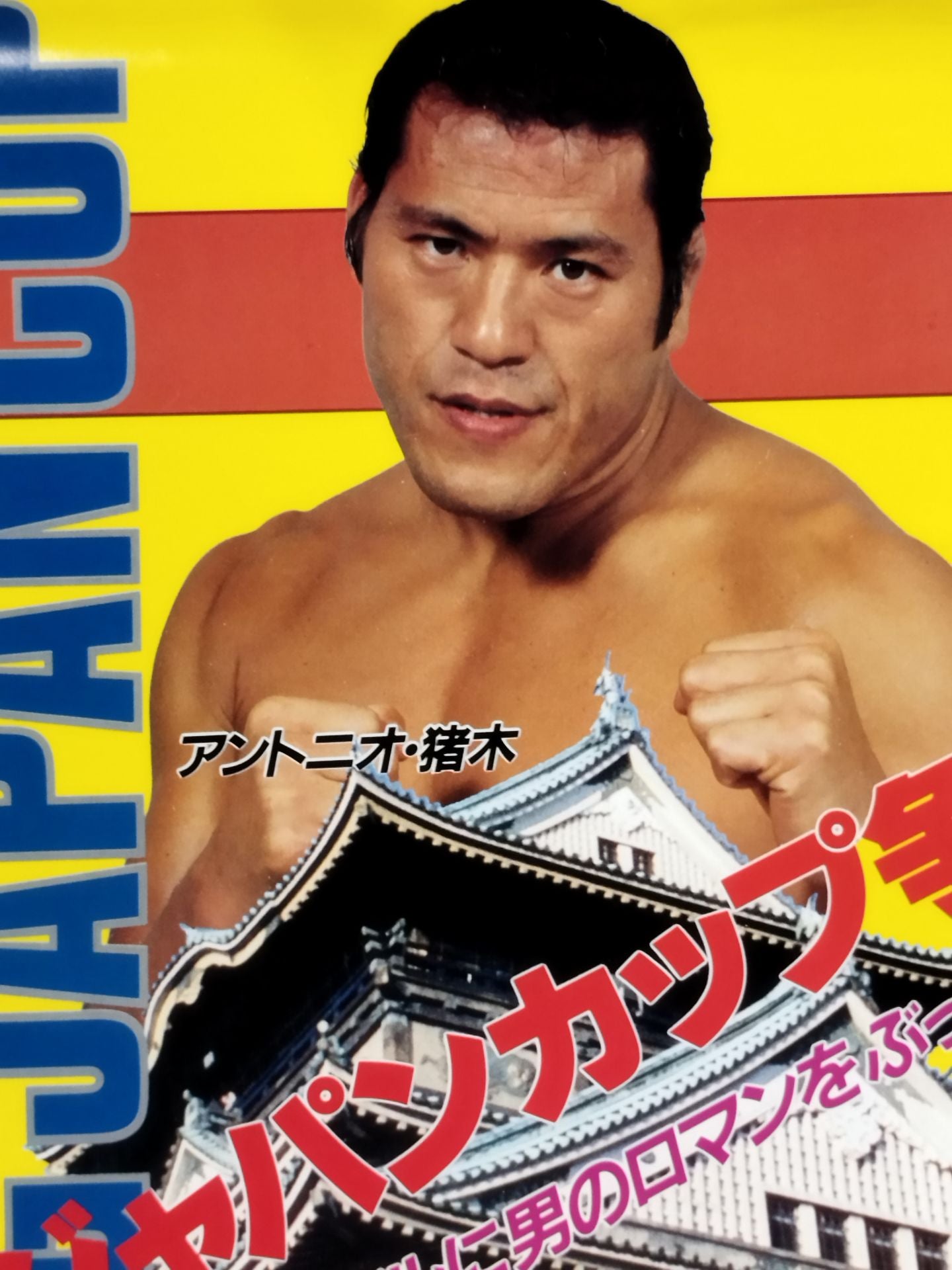 86ジャパンカップ争奪タッグ・リーグ戦