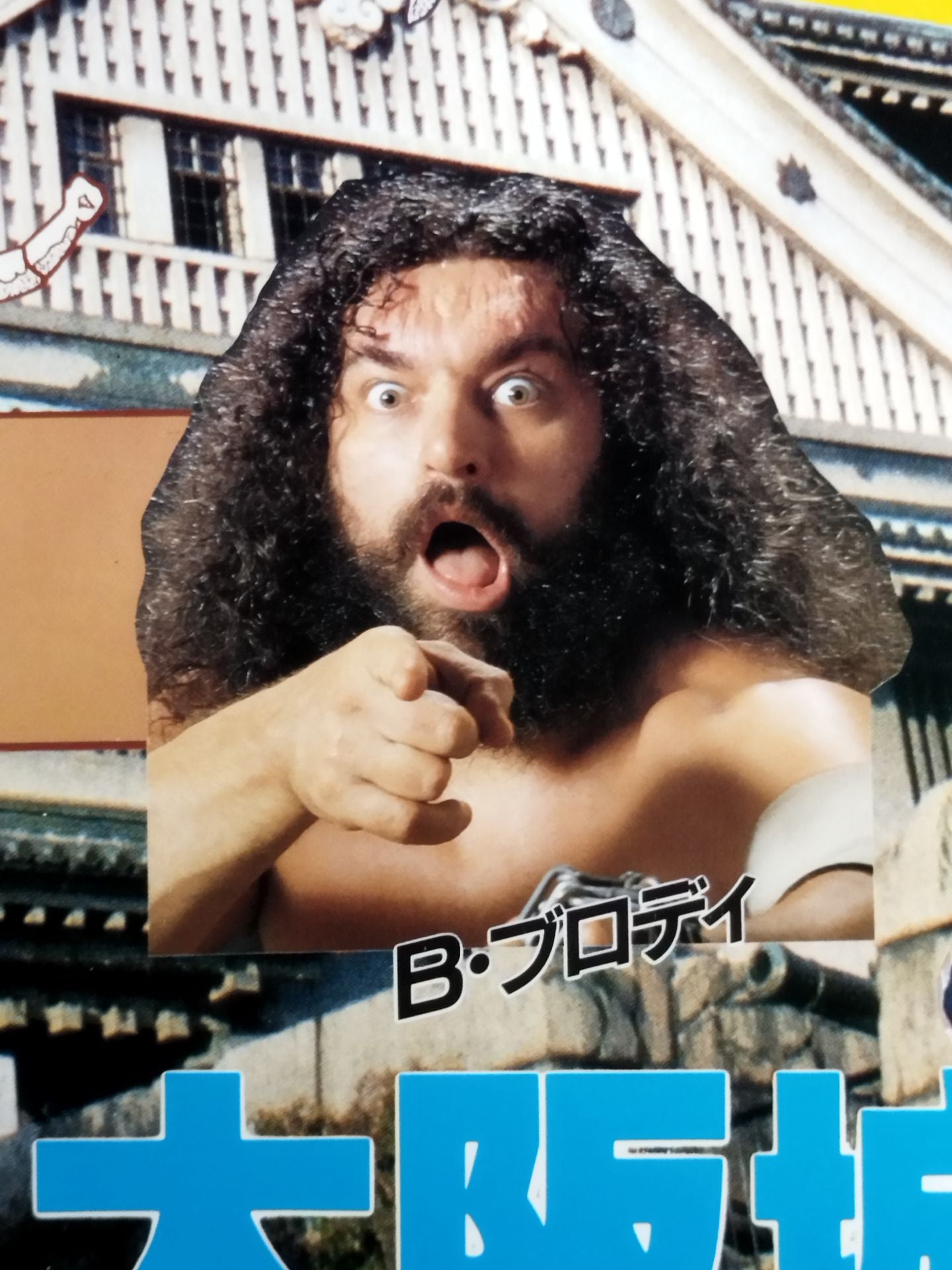 86ジャパンカップ争奪タッグ・リーグ戦