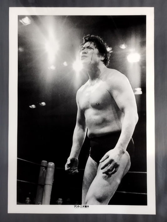 アントニオ猪木 大判白黒ポスター②