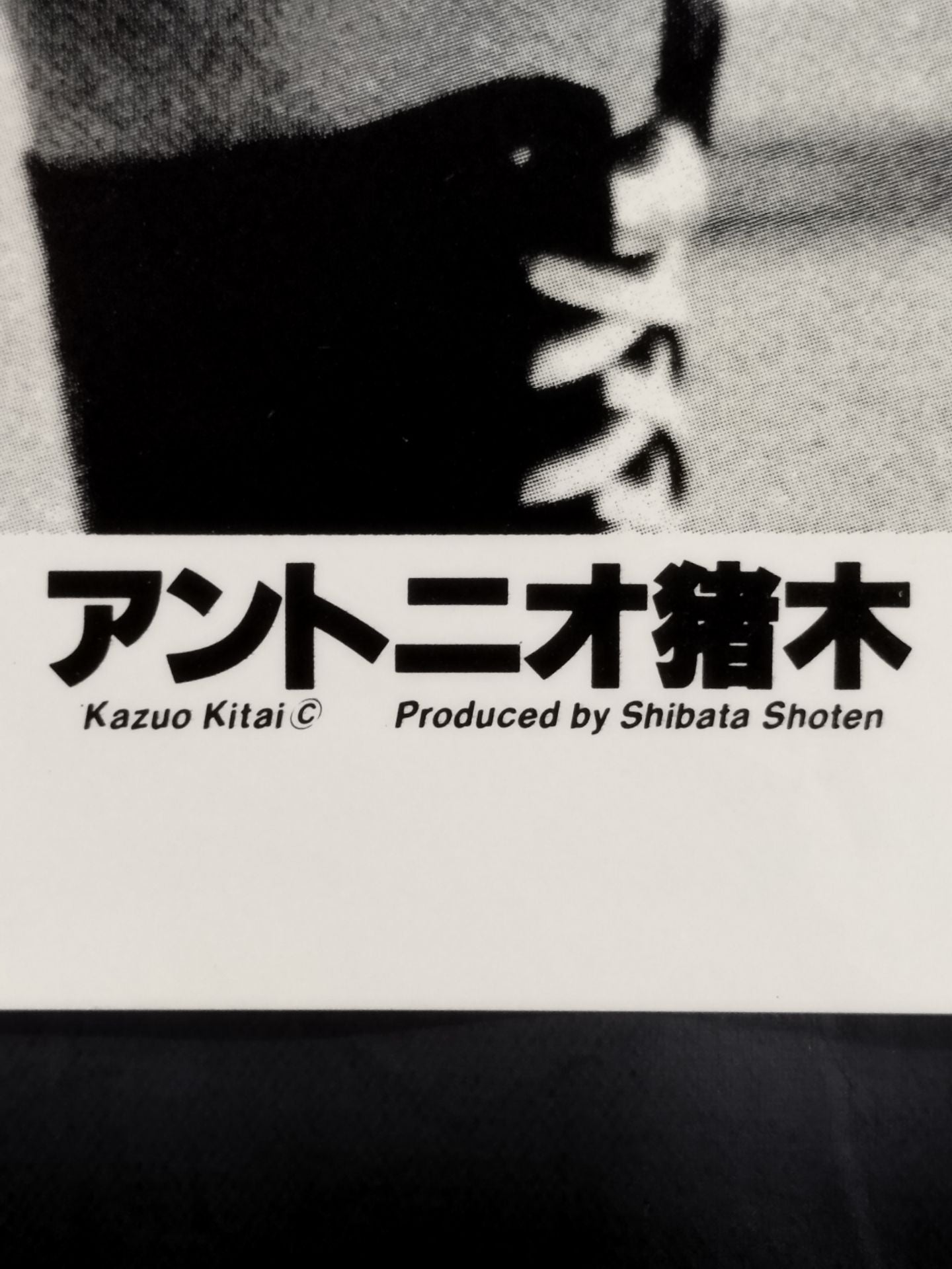 Antonio Inoki Large format Black and White Posters(4)