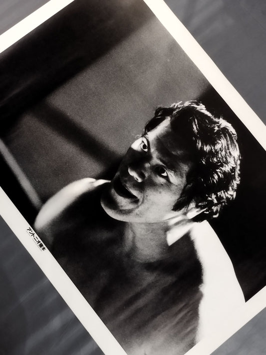 アントニオ猪木 大判白黒ポスター⑥