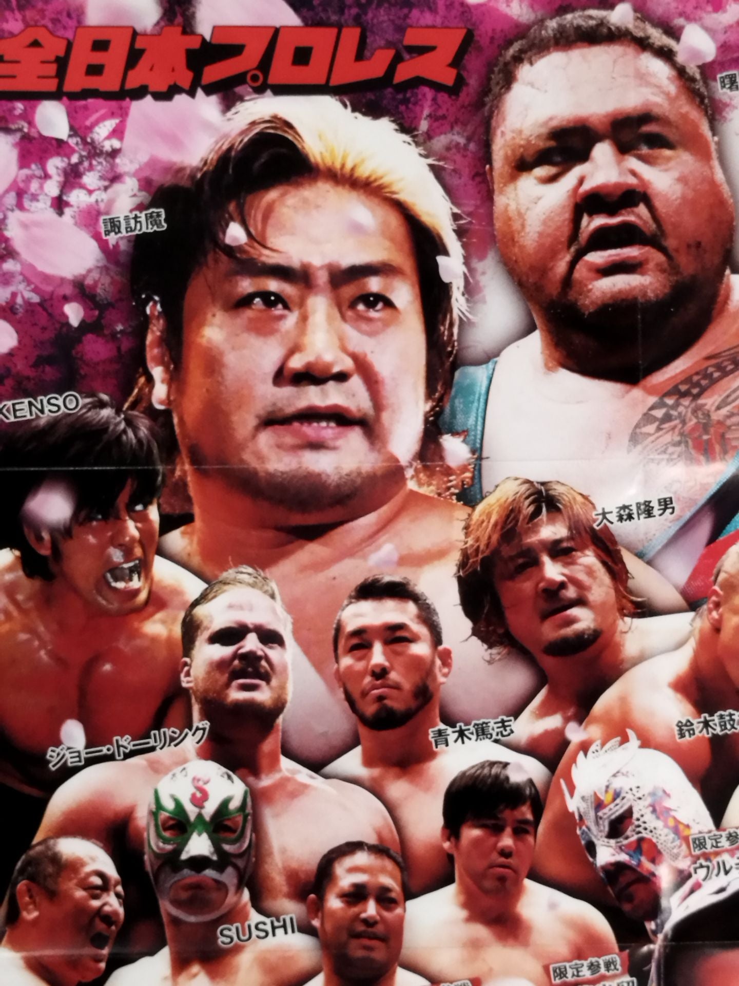 2014 ドリームパワーシリーズ