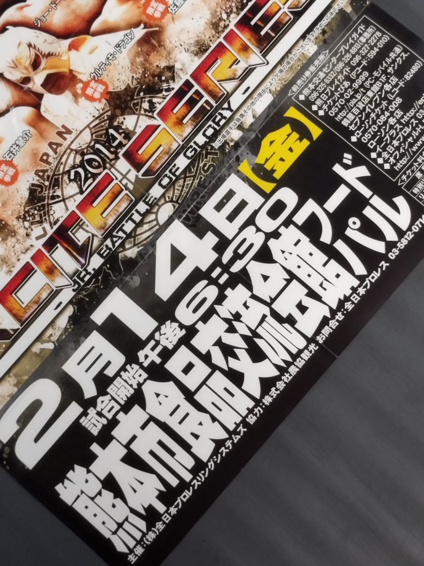 2014 エキサイトシリーズ ~Jr. BATTLE GLORY~