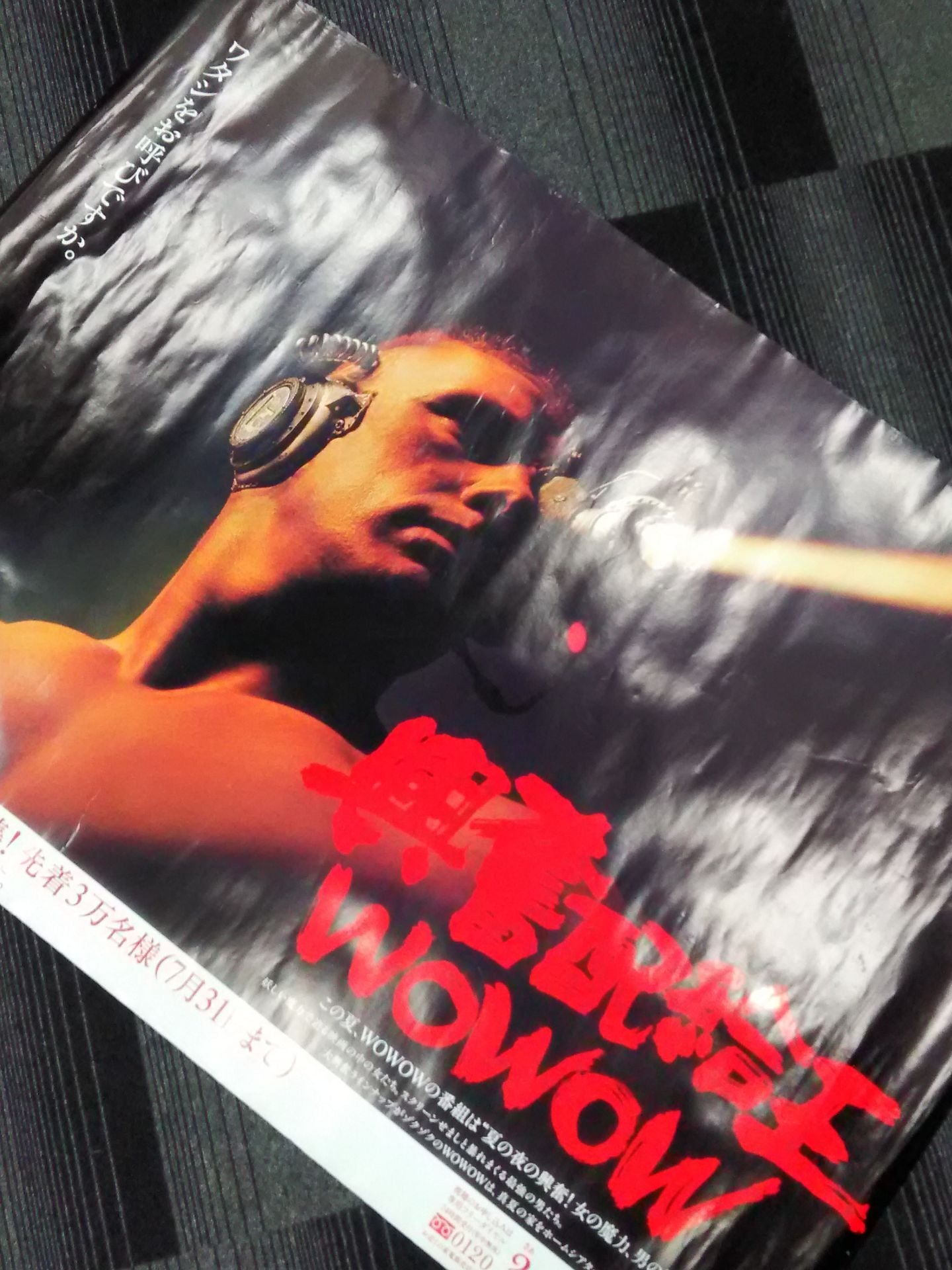 【ワタシをお呼びですか。】ディック・フライ WOWOW広告ポスター