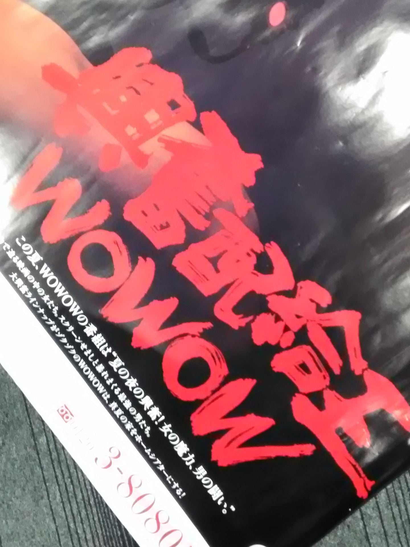 【ワタシをお呼びですか。】ディック・フライ WOWOW広告ポスター