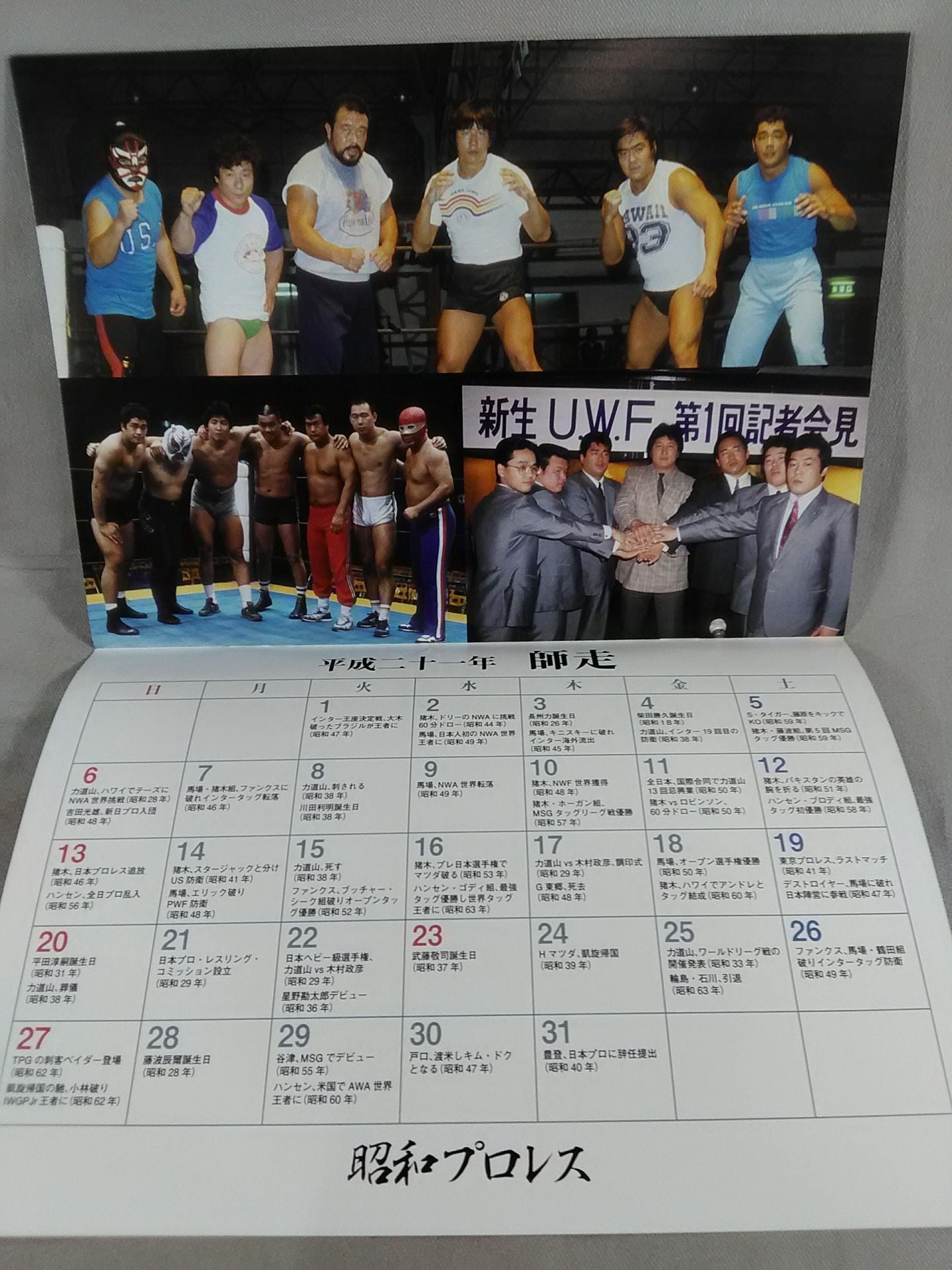 Showa Pro Wrestling 2009 Calendar
