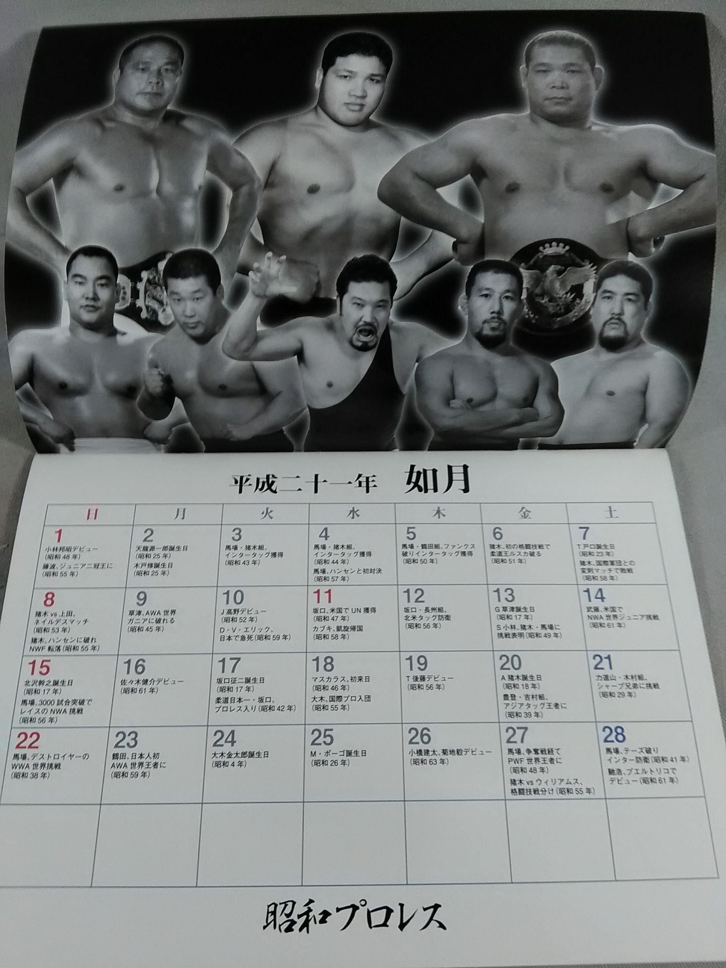 Showa Pro Wrestling 2009 Calendar
