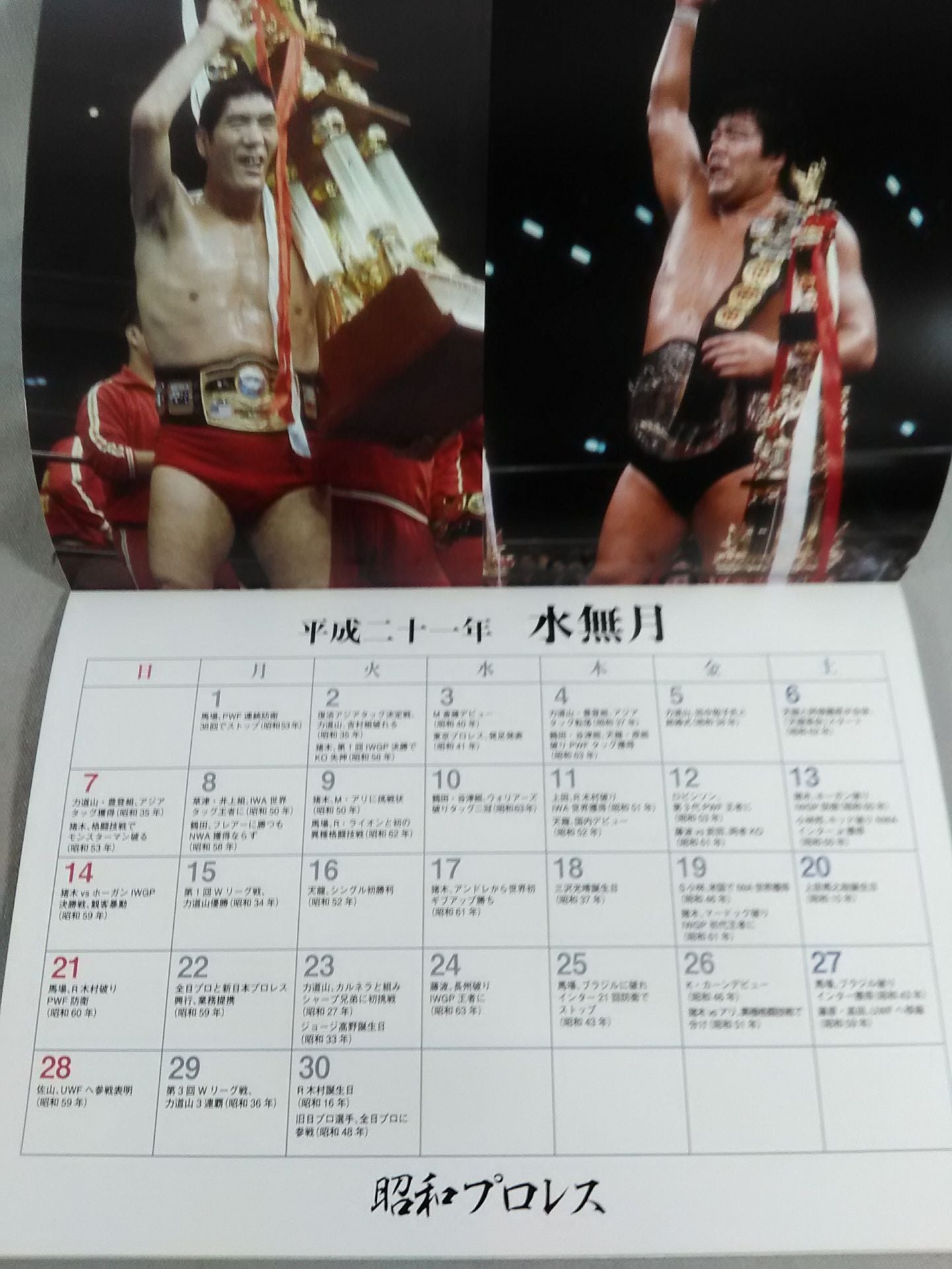 Showa Pro Wrestling 2009 Calendar
