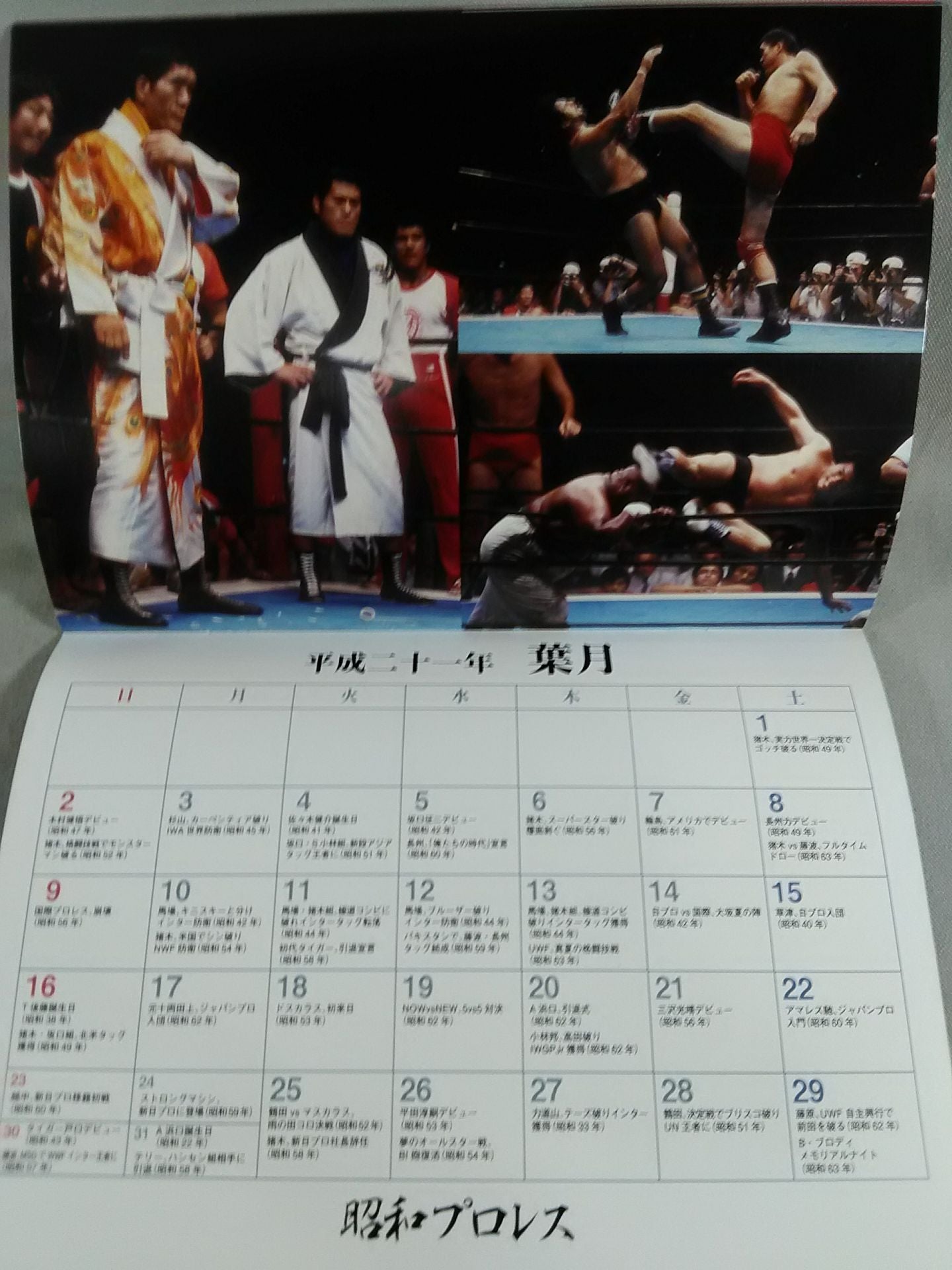Showa Pro Wrestling 2009 Calendar